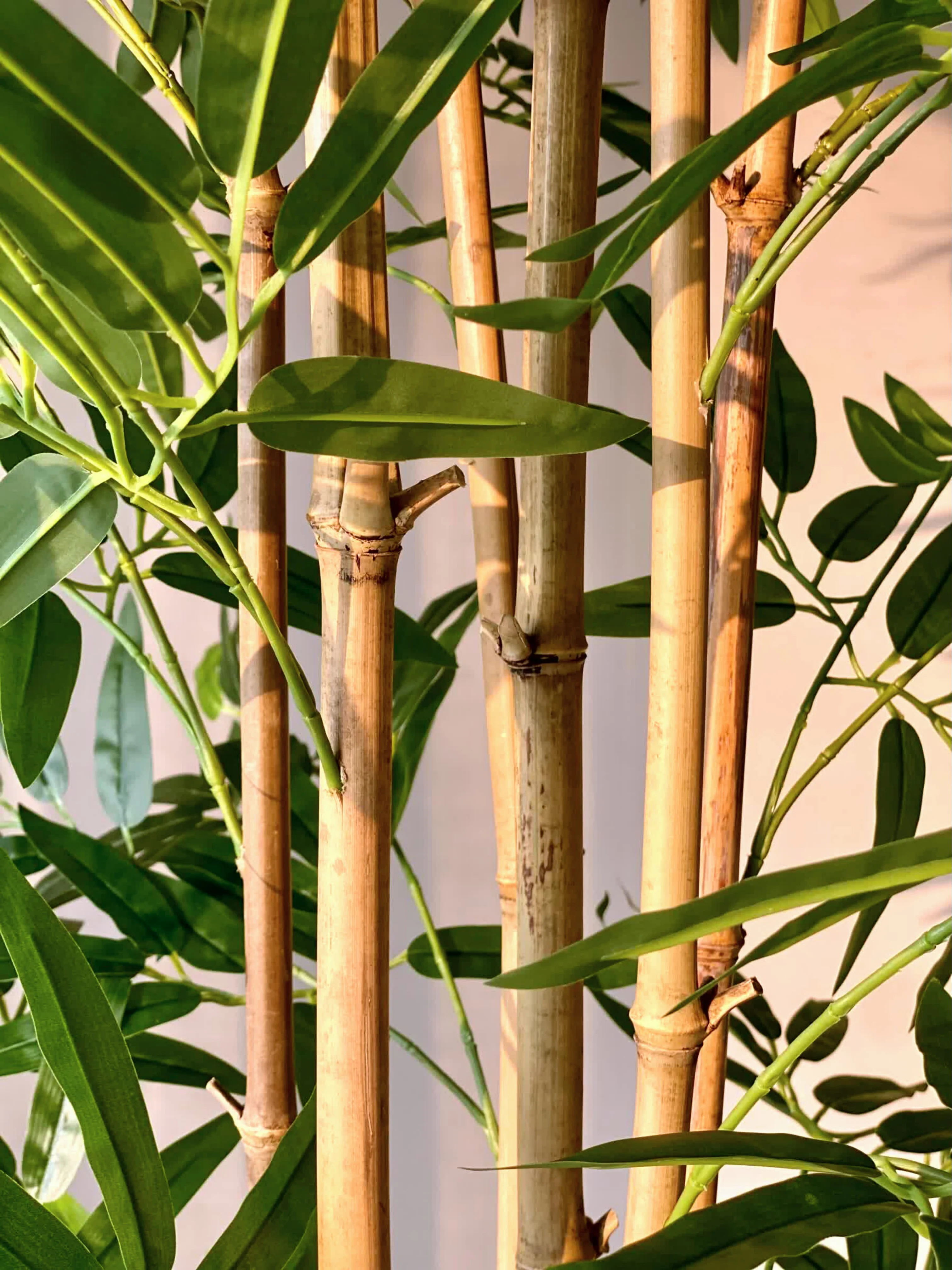 Artificial Bamboo Bliss Plant - 7 Feet - Image 7