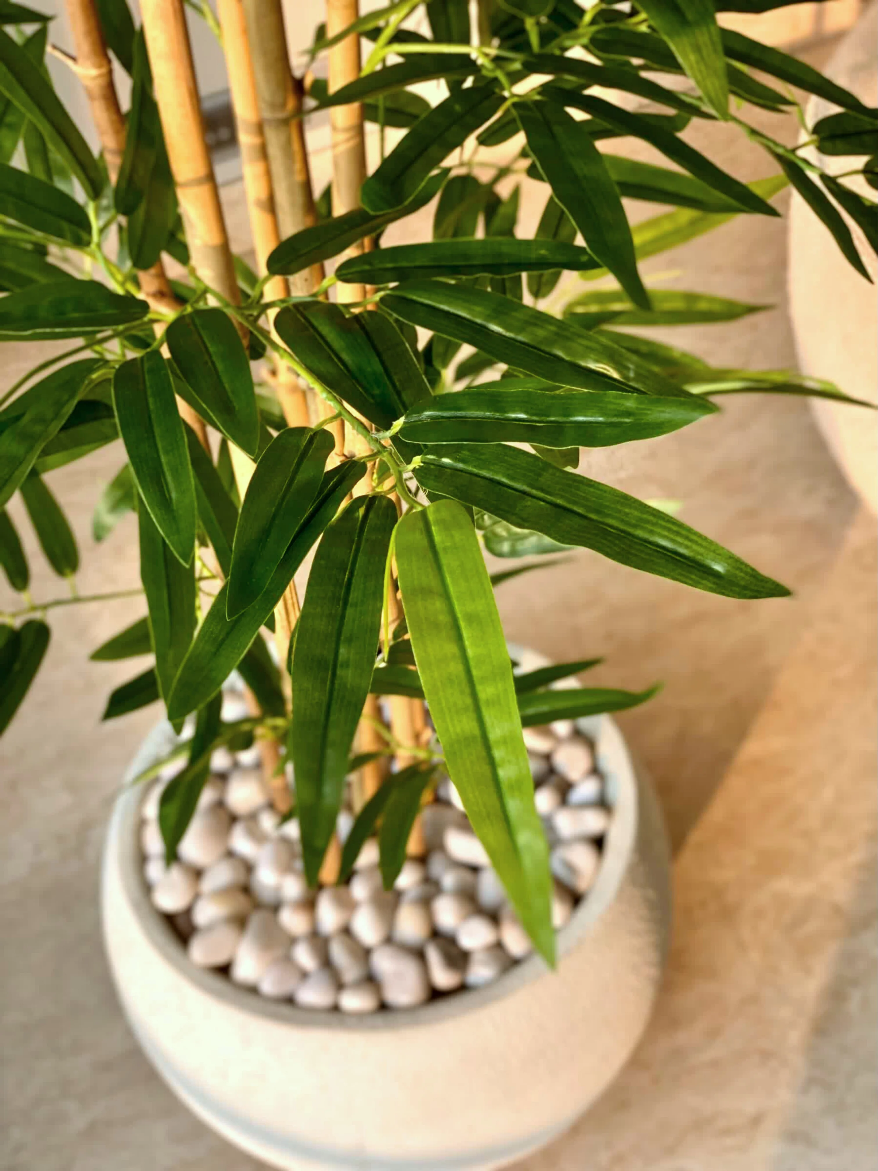Artificial Bamboo Bliss Plant - 7 Feet - Image 8