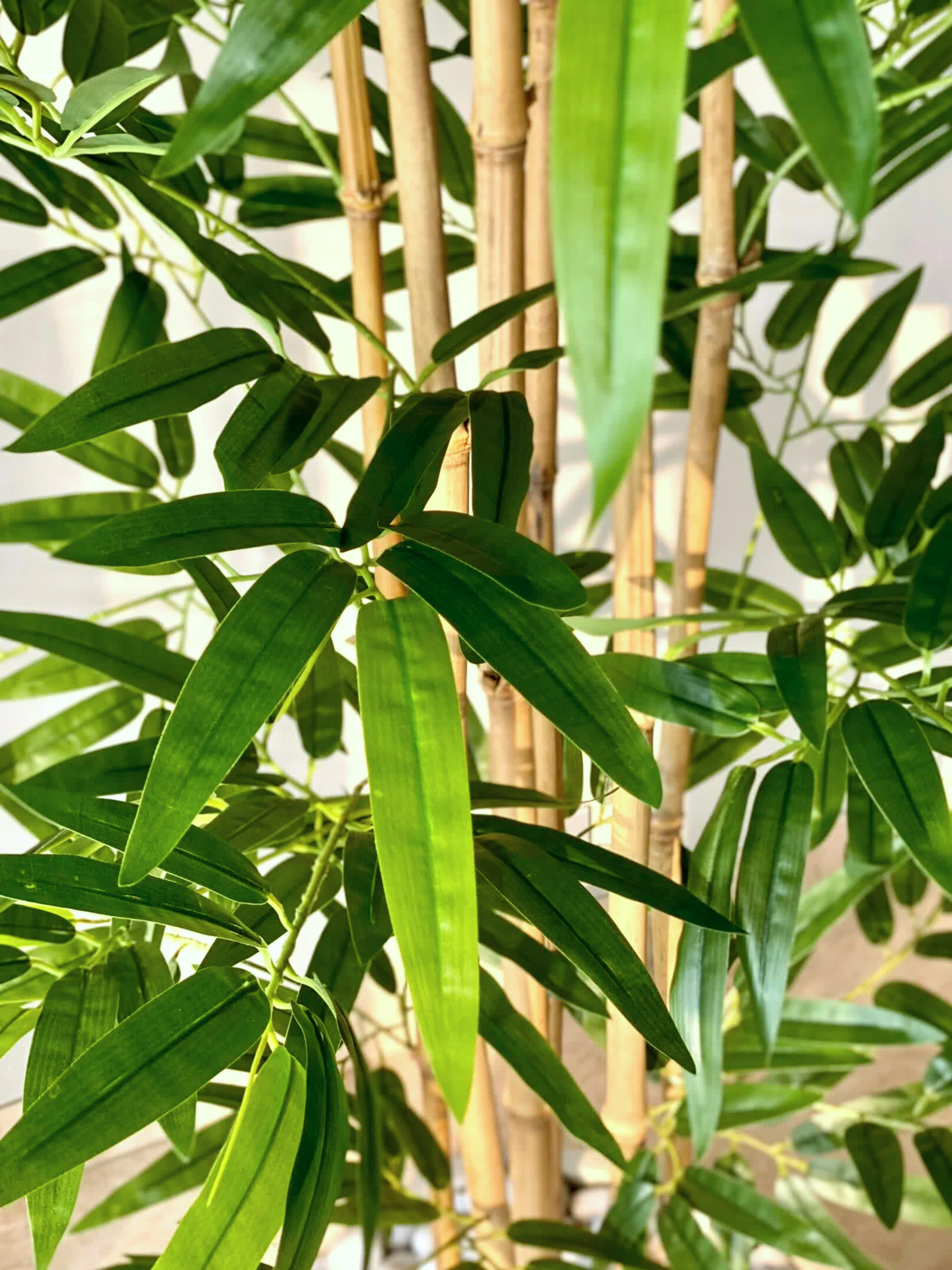 Artificial Bamboo Bliss Plant - 8 Feet - Image 7