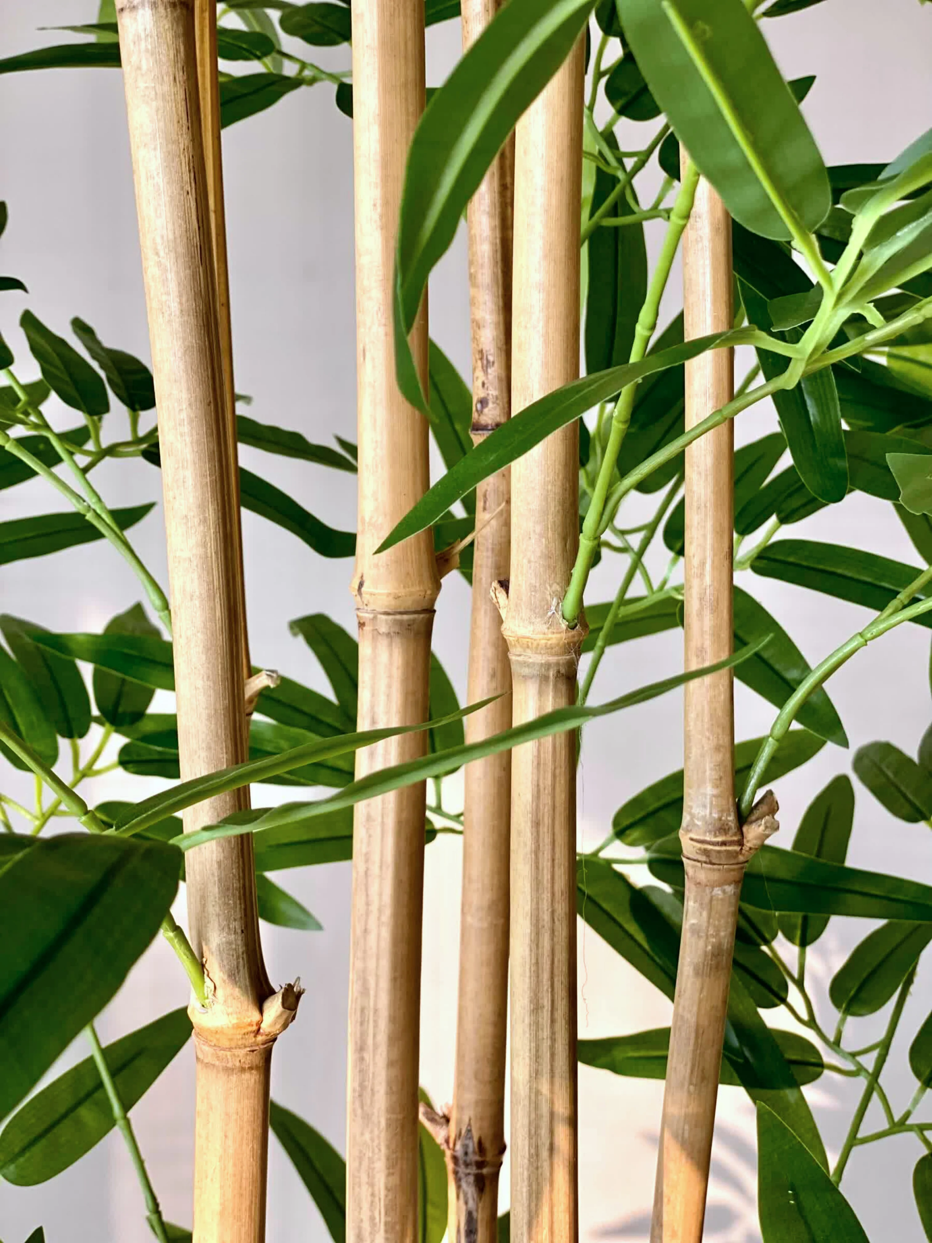 Artificial Bamboo Bliss Plant - 8 Feet - Image 8