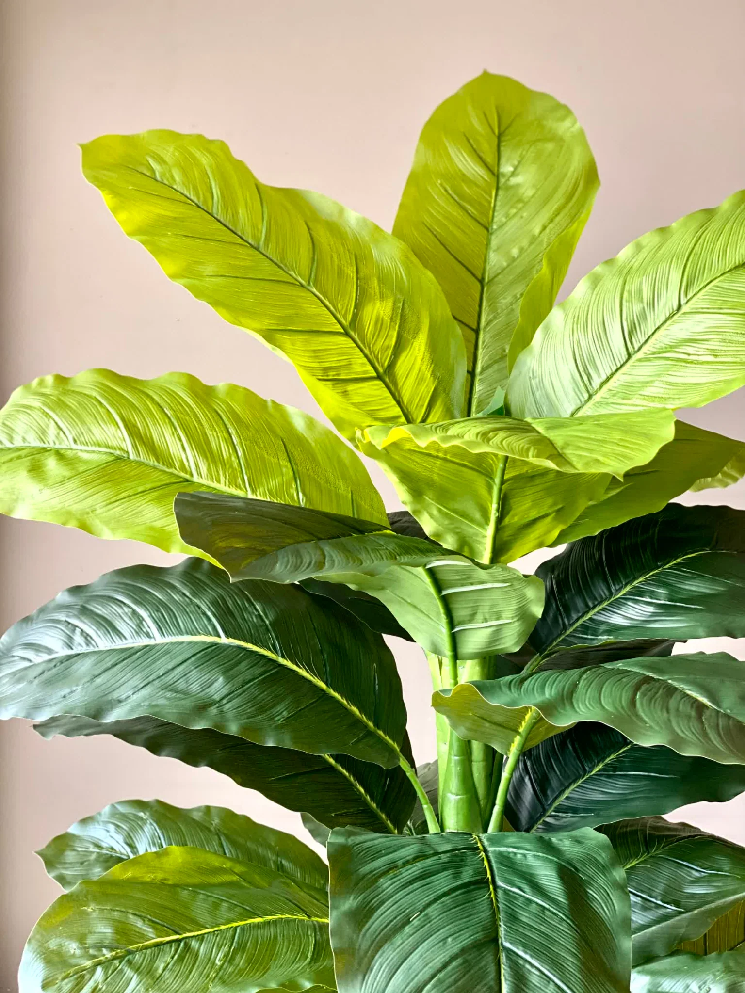 Artificial Bush Pothos Plant - 5 Feet - Image 4