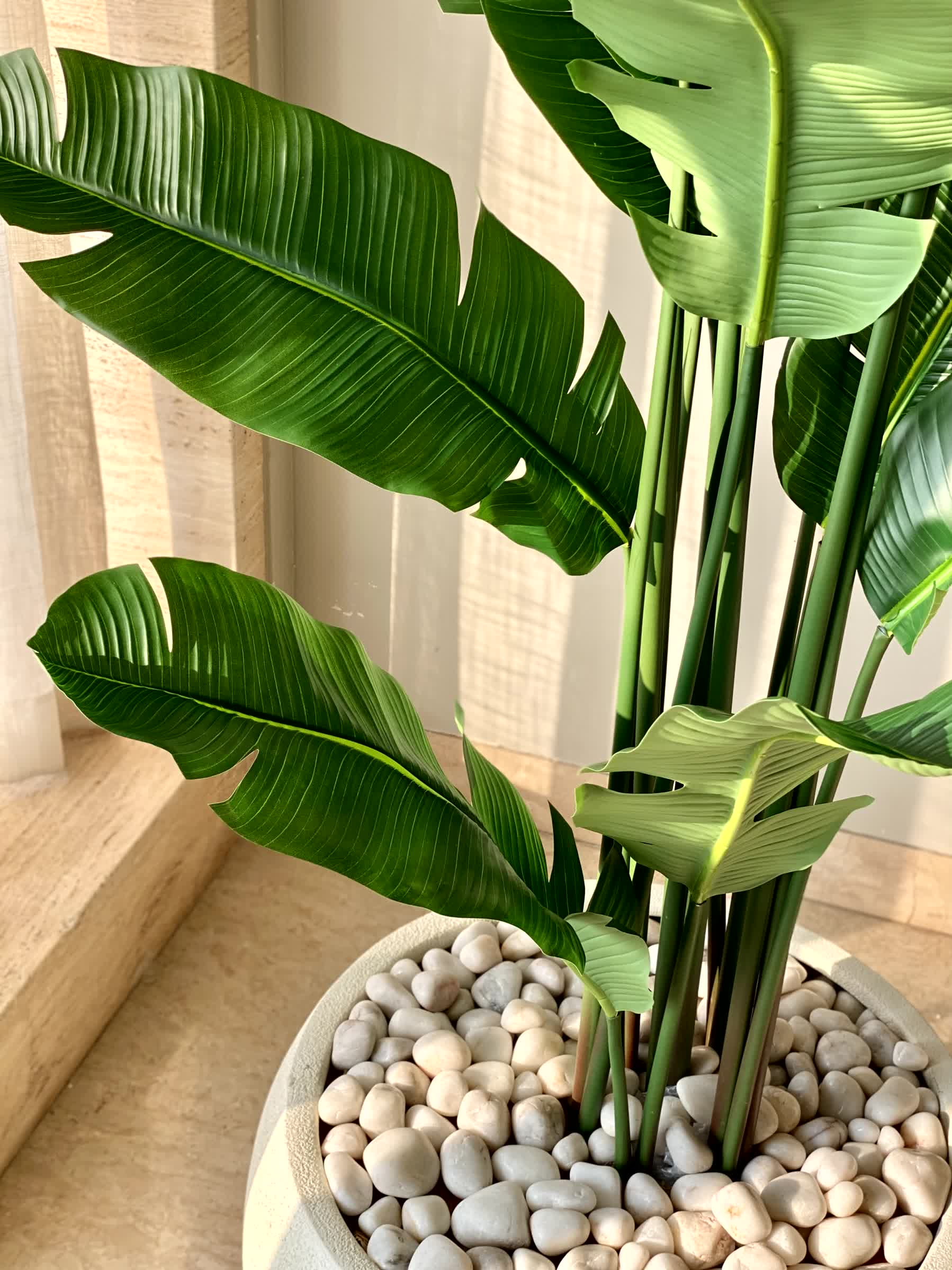 Artificial Coastal Palm Plant - 7 Feet - Image 5