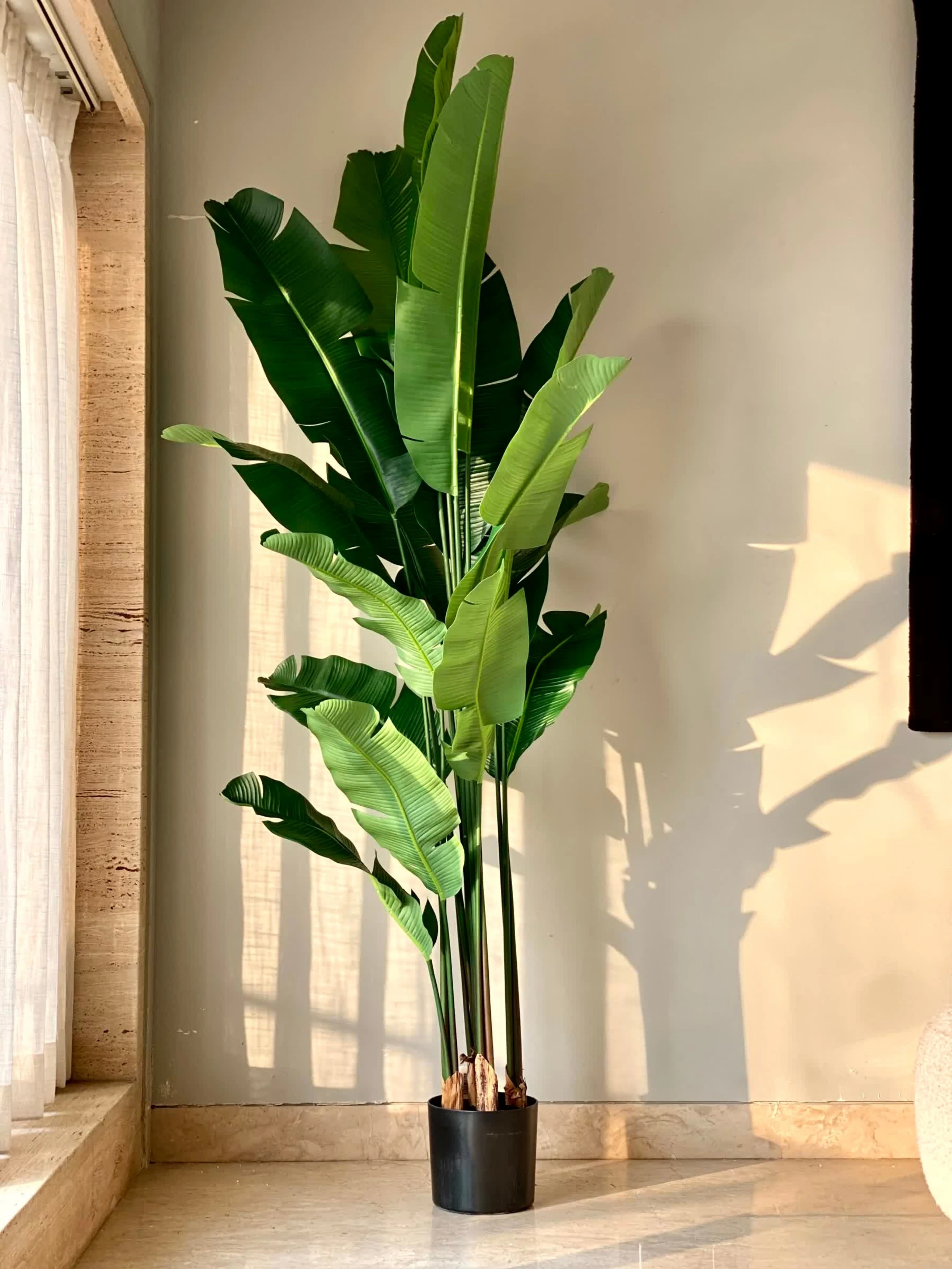 Artificial Coastal Palm Plant - 7 Feet - Image 6