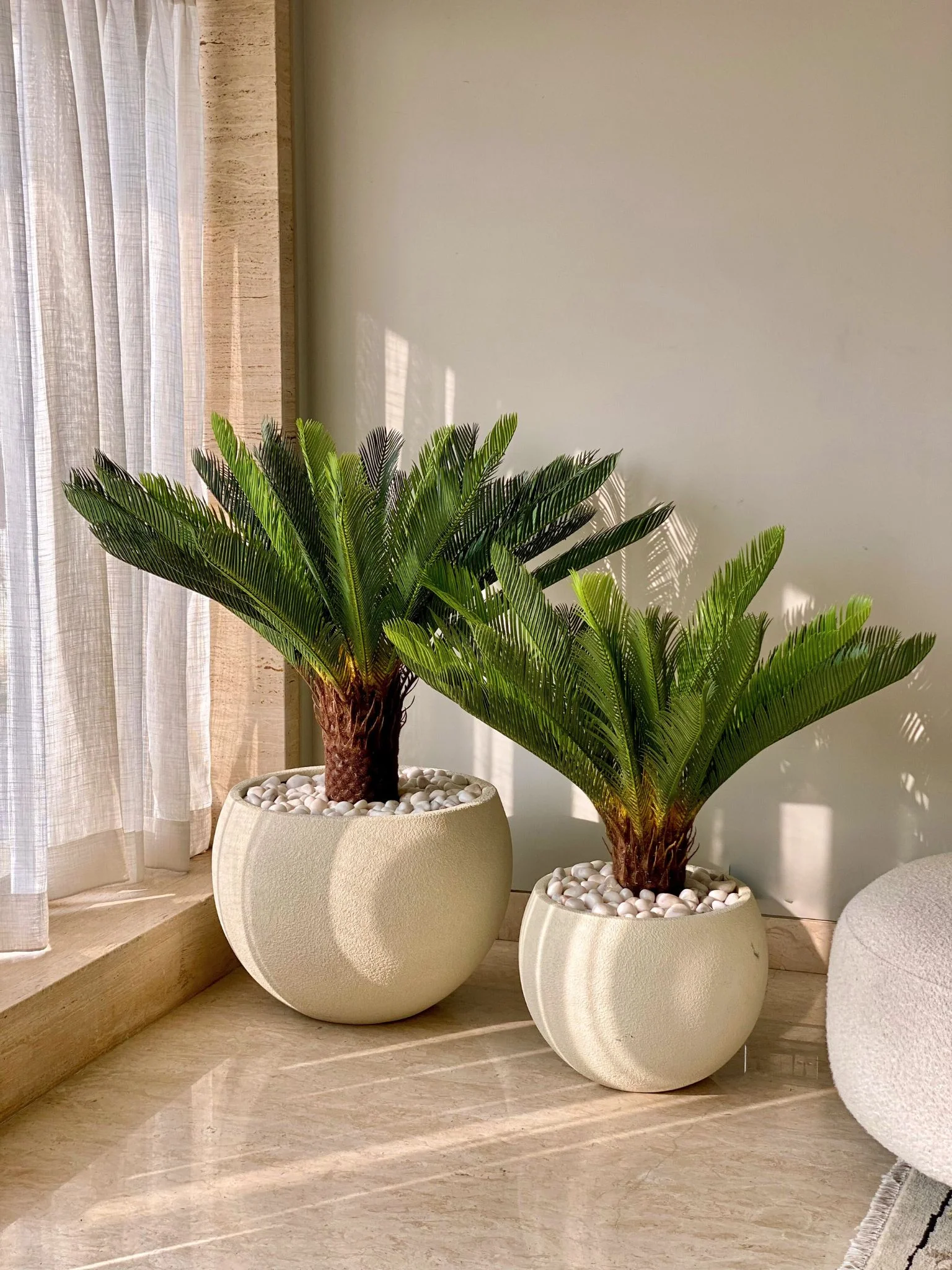 Artificial Cycas Plant - 3.5 Feet - Image 3