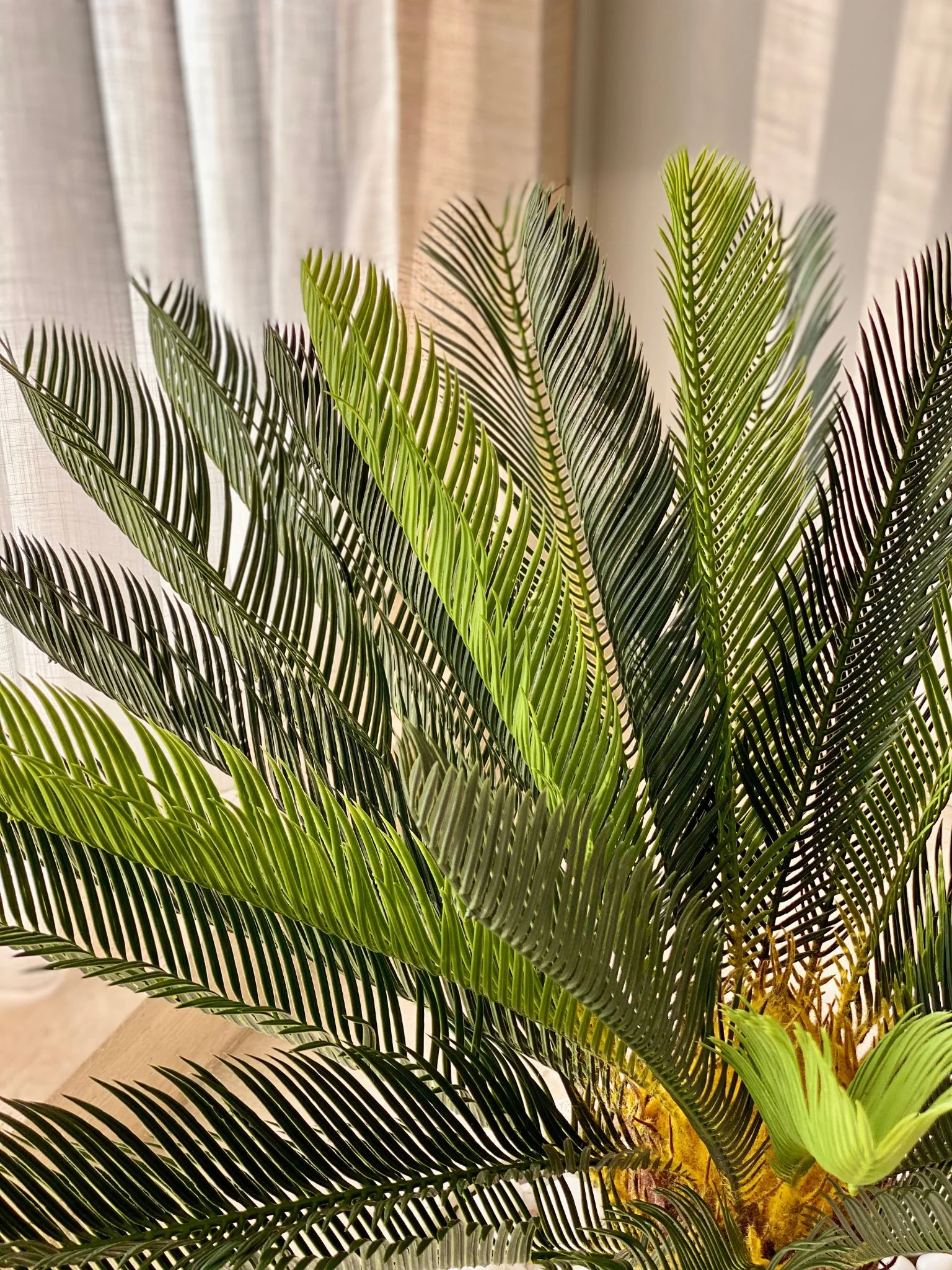 Artificial Cycas Plant - 3.5 Feet - Image 4