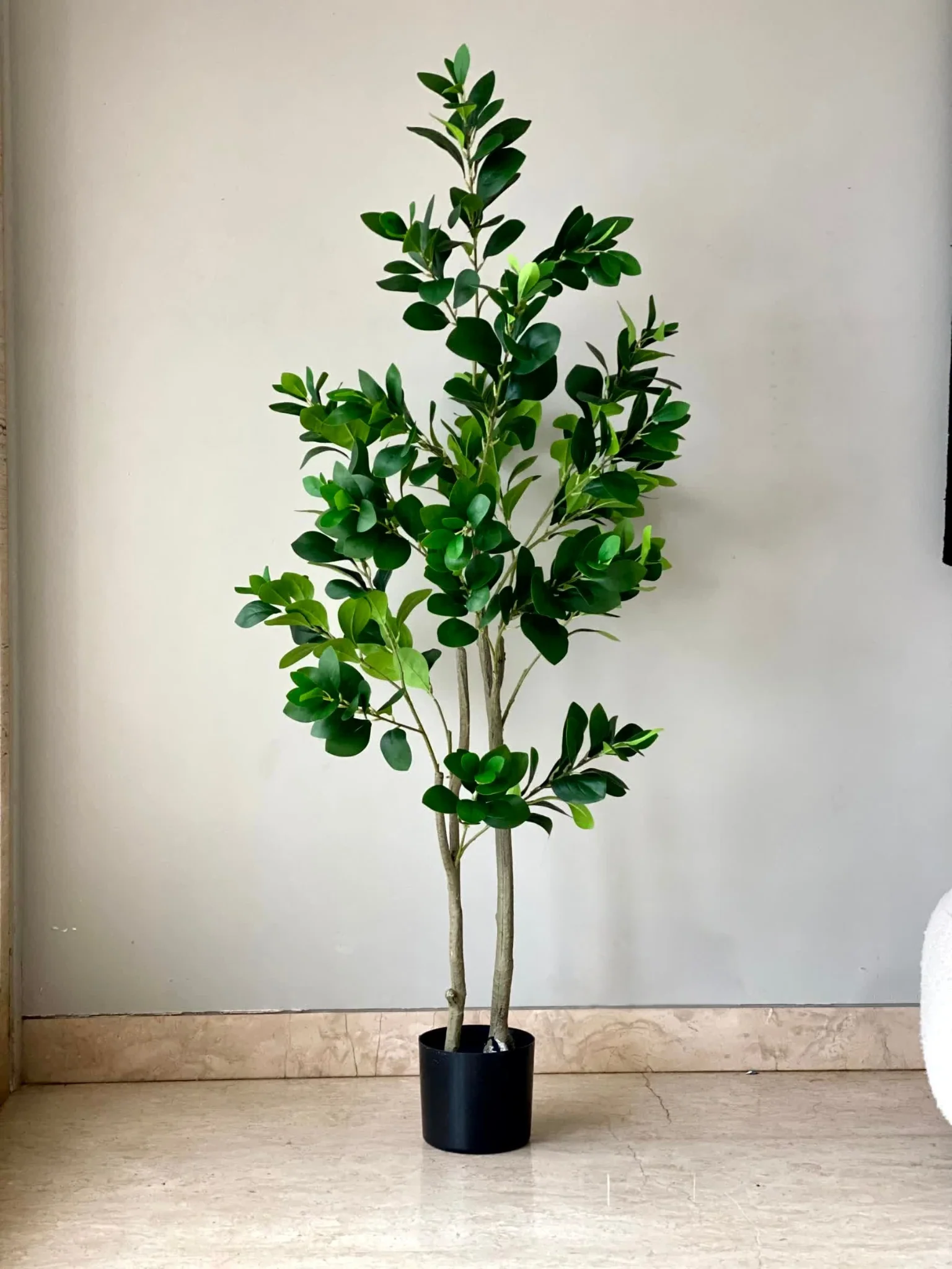 Artificial Wild Peperomia Plant  - 5 Feet - Image 5