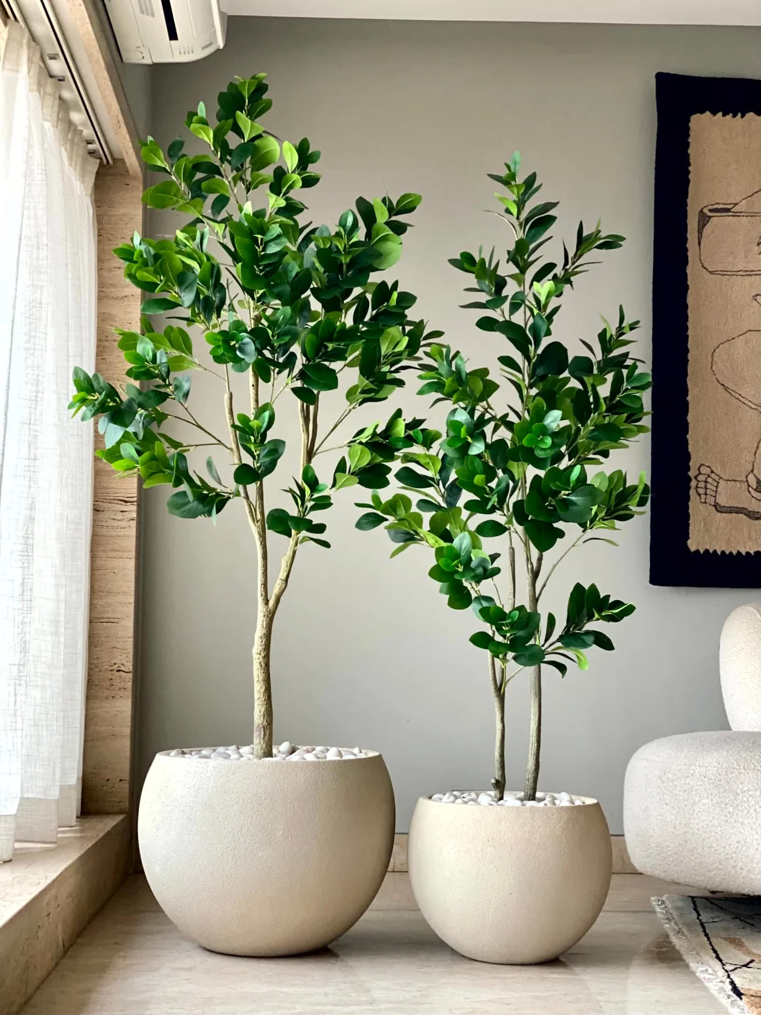 Artificial Wild Peperomia Plant  - 5 Feet - Image 3