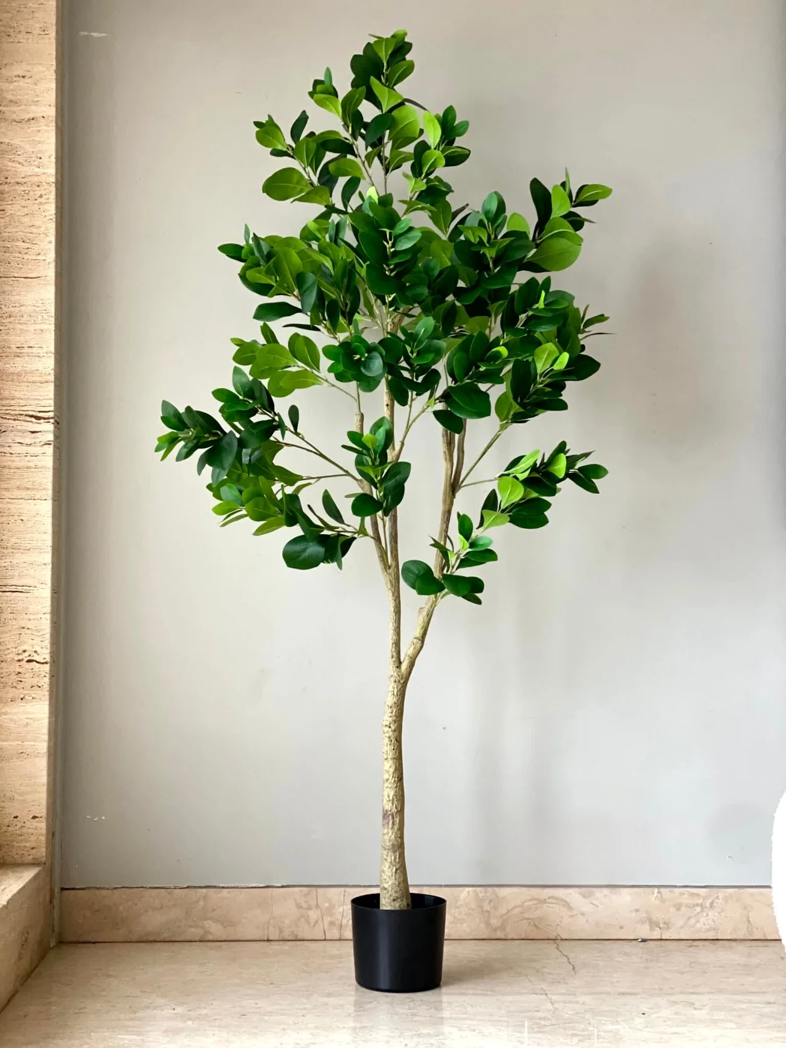 Artificial Lush Peperomia Plant  - 6 Feet - Image 5