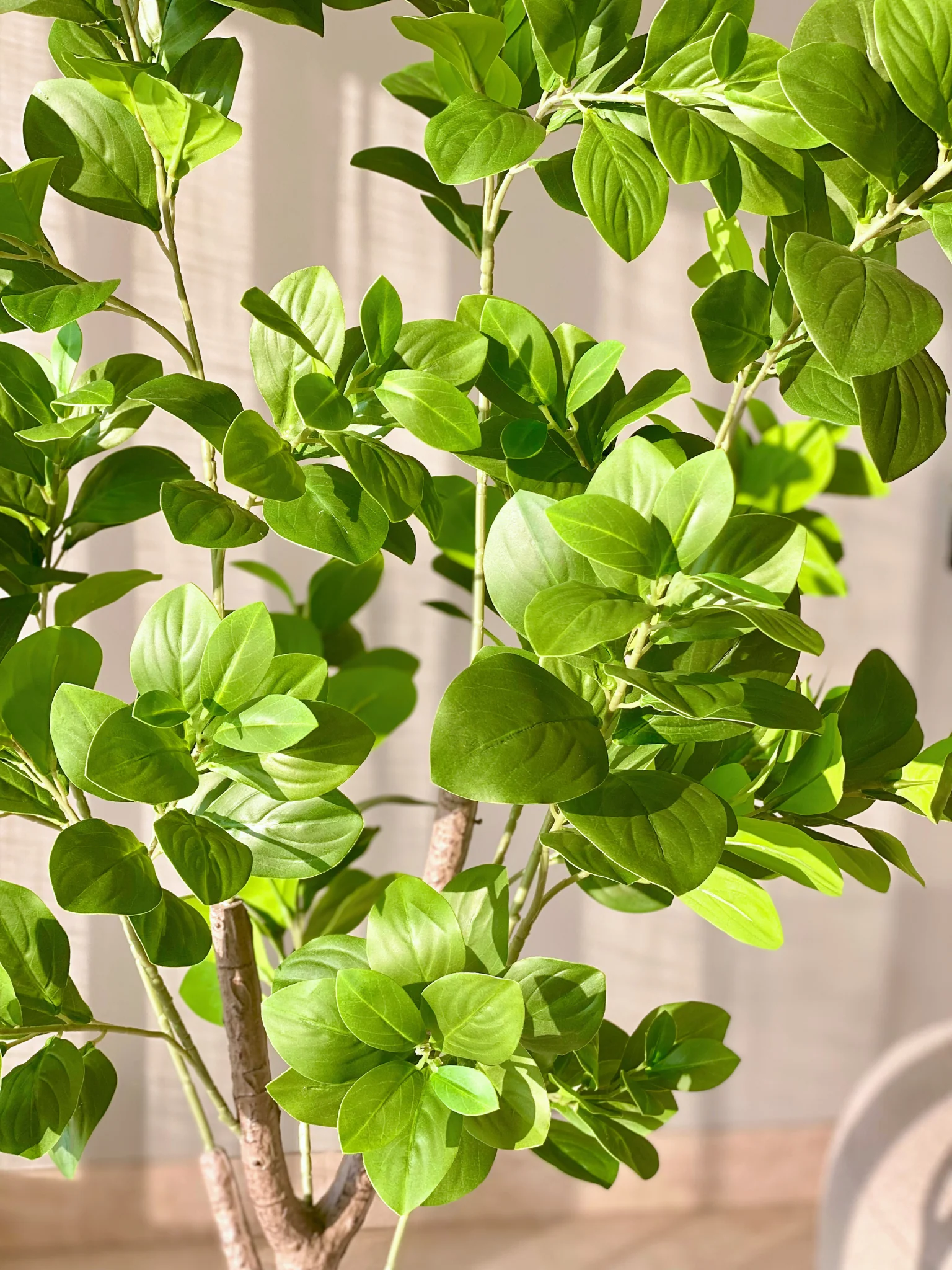 Artificial Dense Peperomia Plant - 5 Feet - Image 3