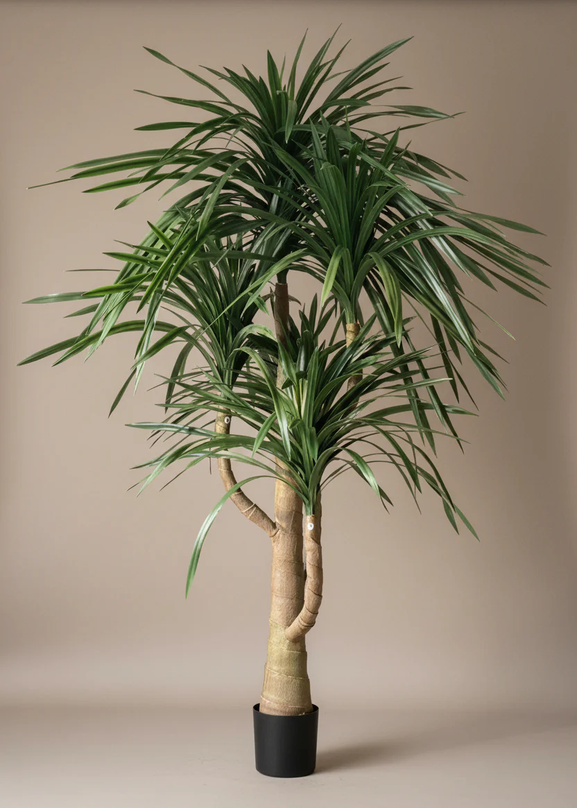 Artificial Dracaena Plant - 8 Feet - Image 3