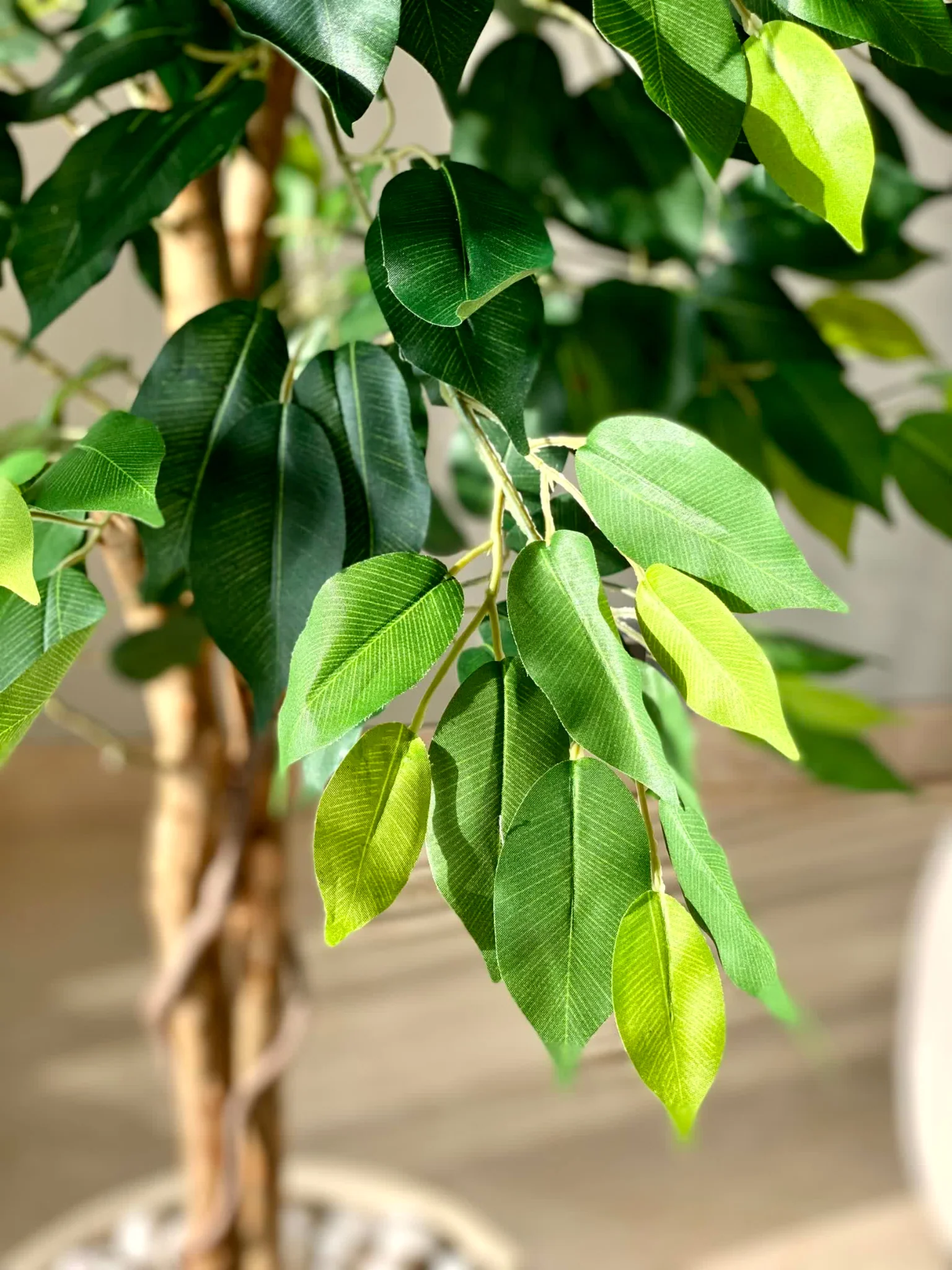 Artificial Dried Ficus Plant - 6.5 Feet - Image 7