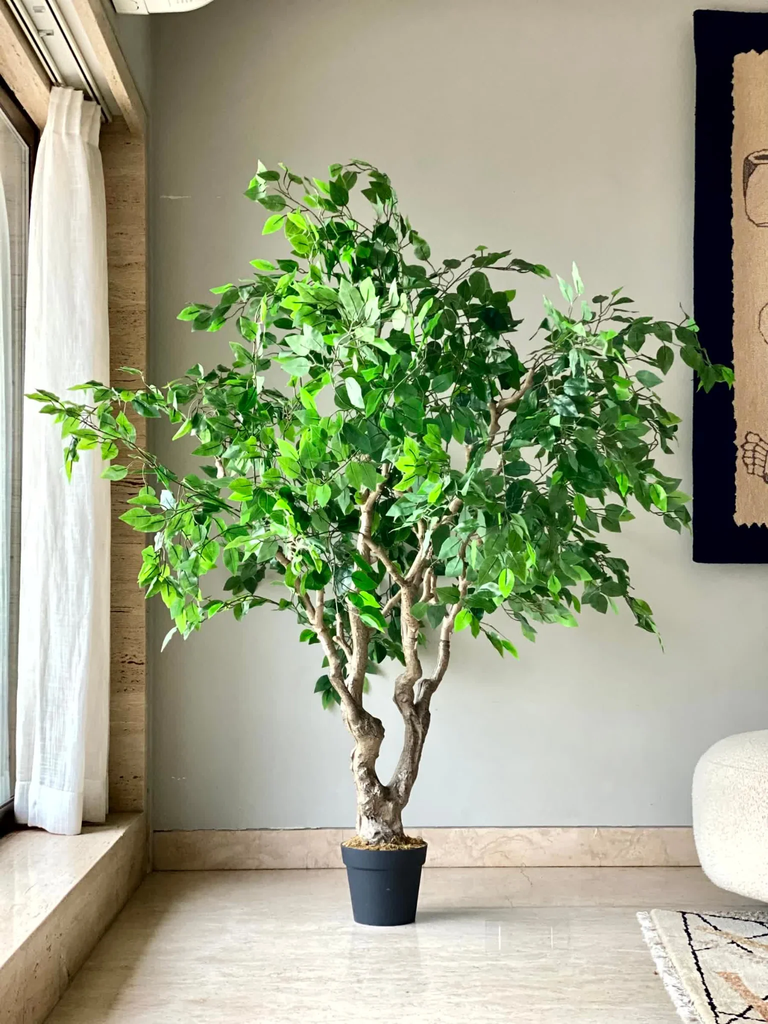 Artificial Ficus Palatial Plant - 6 Feet - Image 4