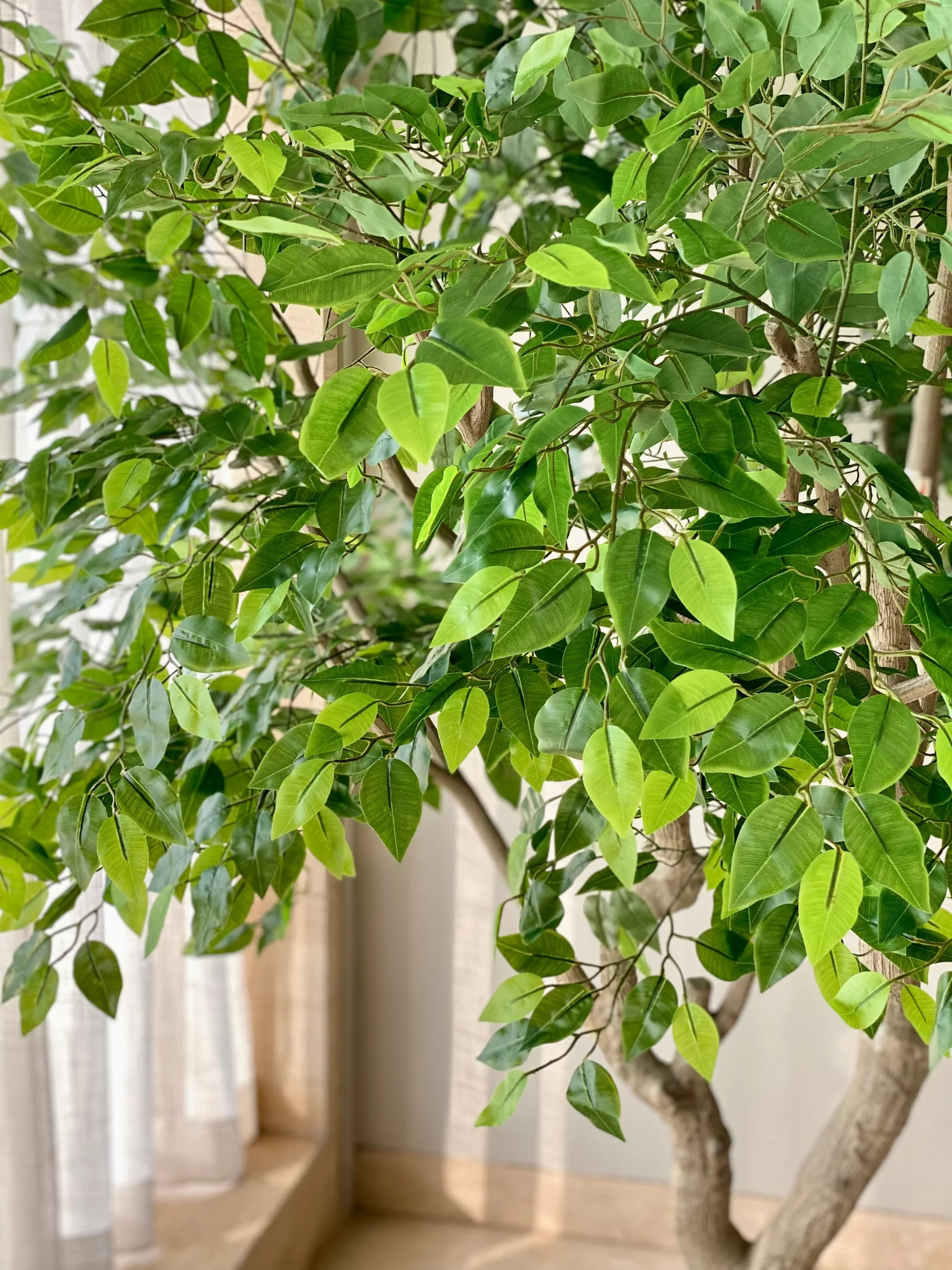 Artificial Ficus Palatial Plant - 8 Feet - Image 3