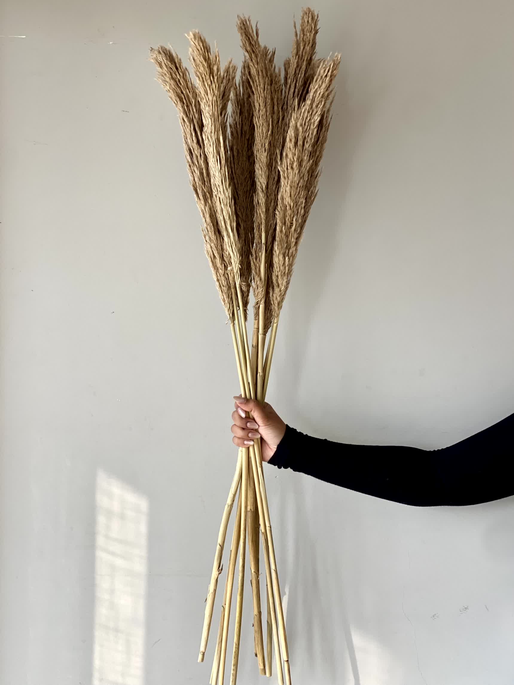 Artificial Foxtail Stem - Set of 8 - Image 3