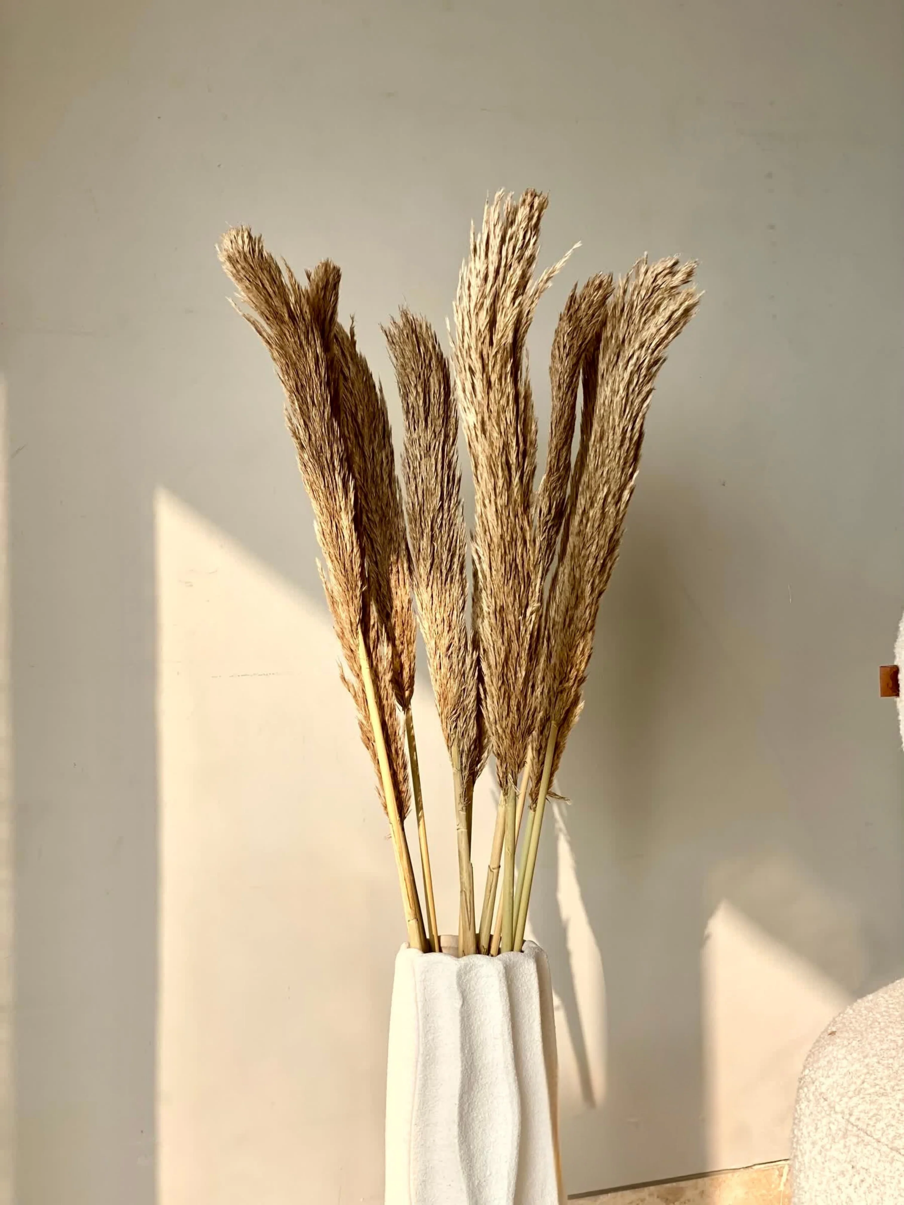 Artificial Foxtail Stem - Set of 8 - Image 6