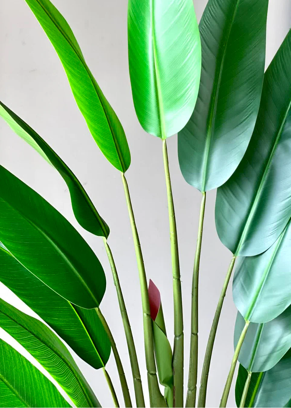 Artificial Travellers Palm Plant - 5 Feet - Image 7