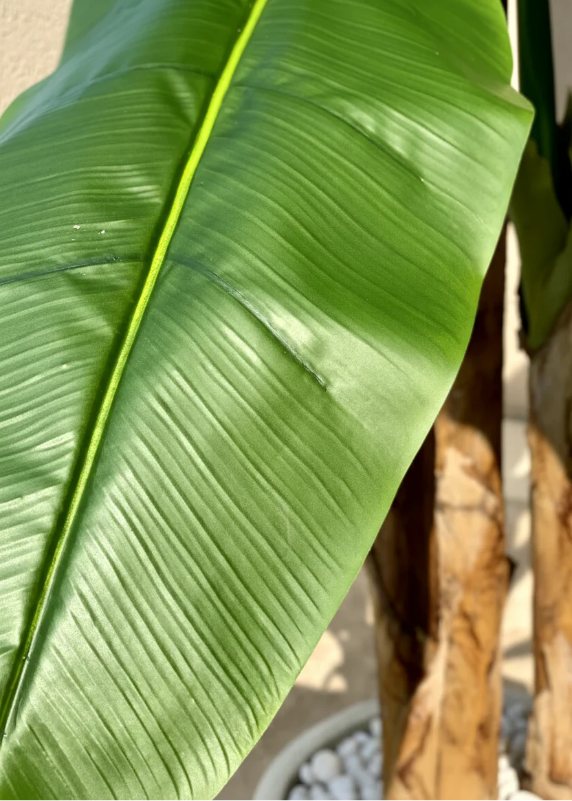 Artificial Giant Banana Plant - 8 Feet - Image 8