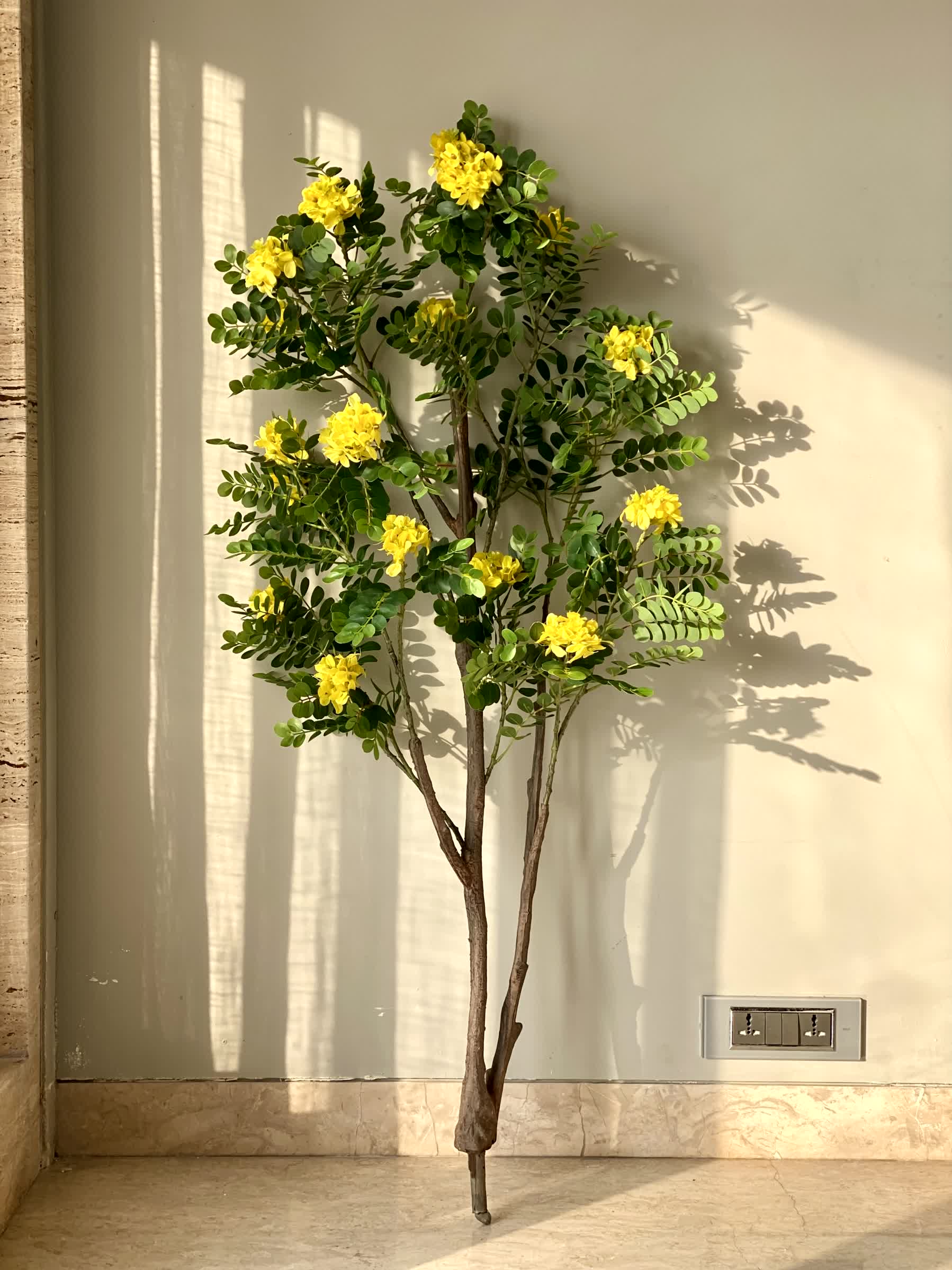 Artificial Golden Medallion Plant - 5 Feet - Image 4