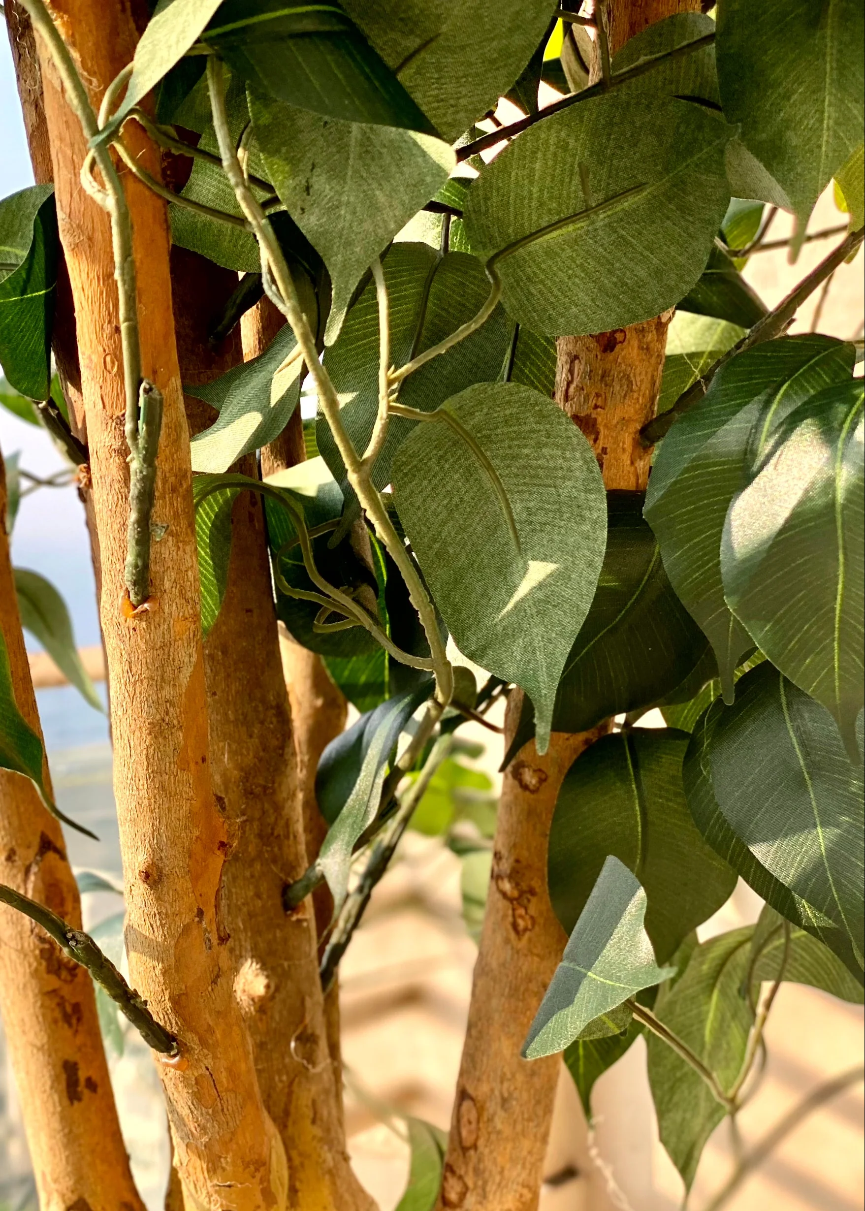 Artificial Grand Ficus Plant - 8.5 Feet - Image 10