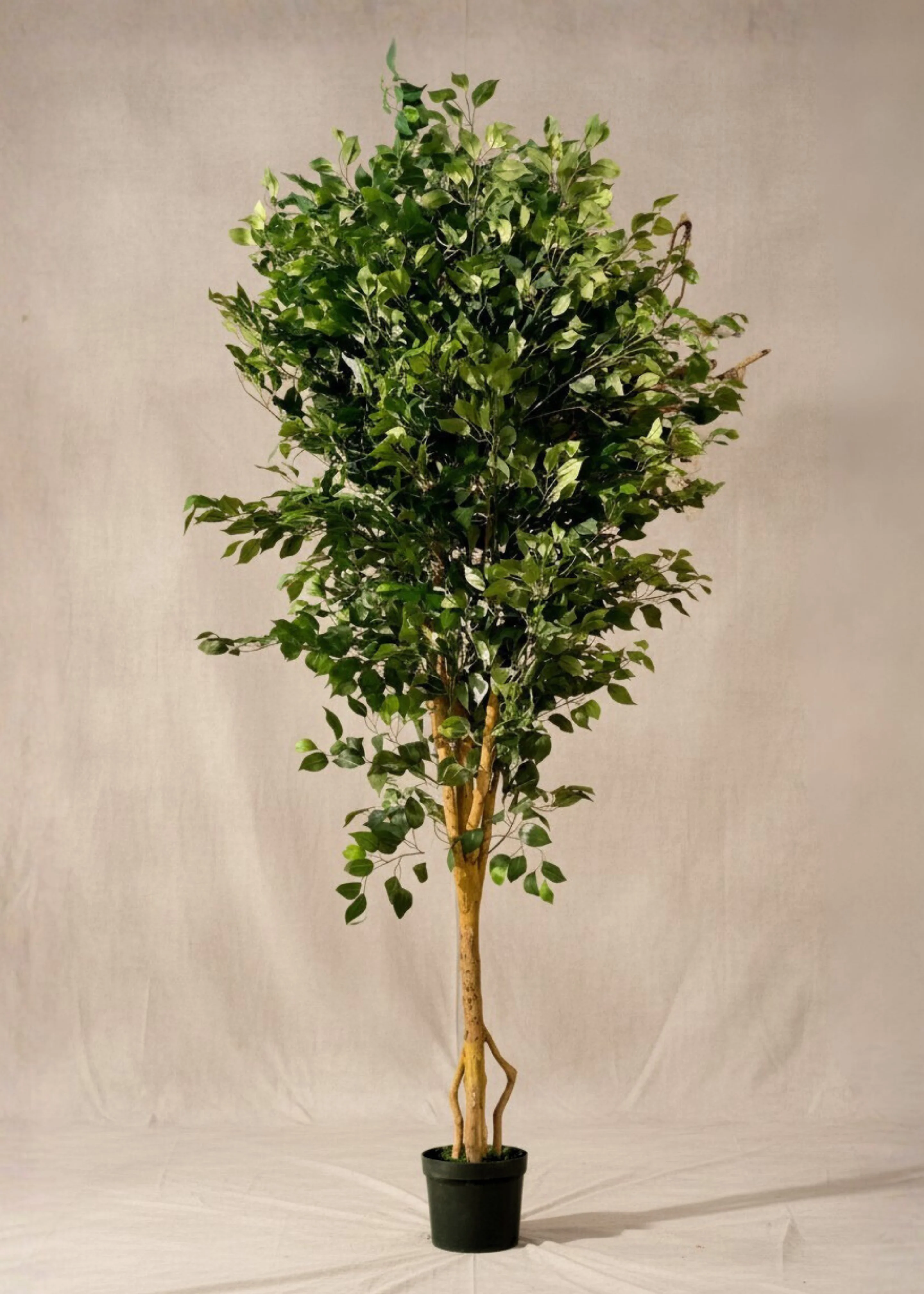Artificial Grand Ficus Plant - 8.5 Feet - Image 3