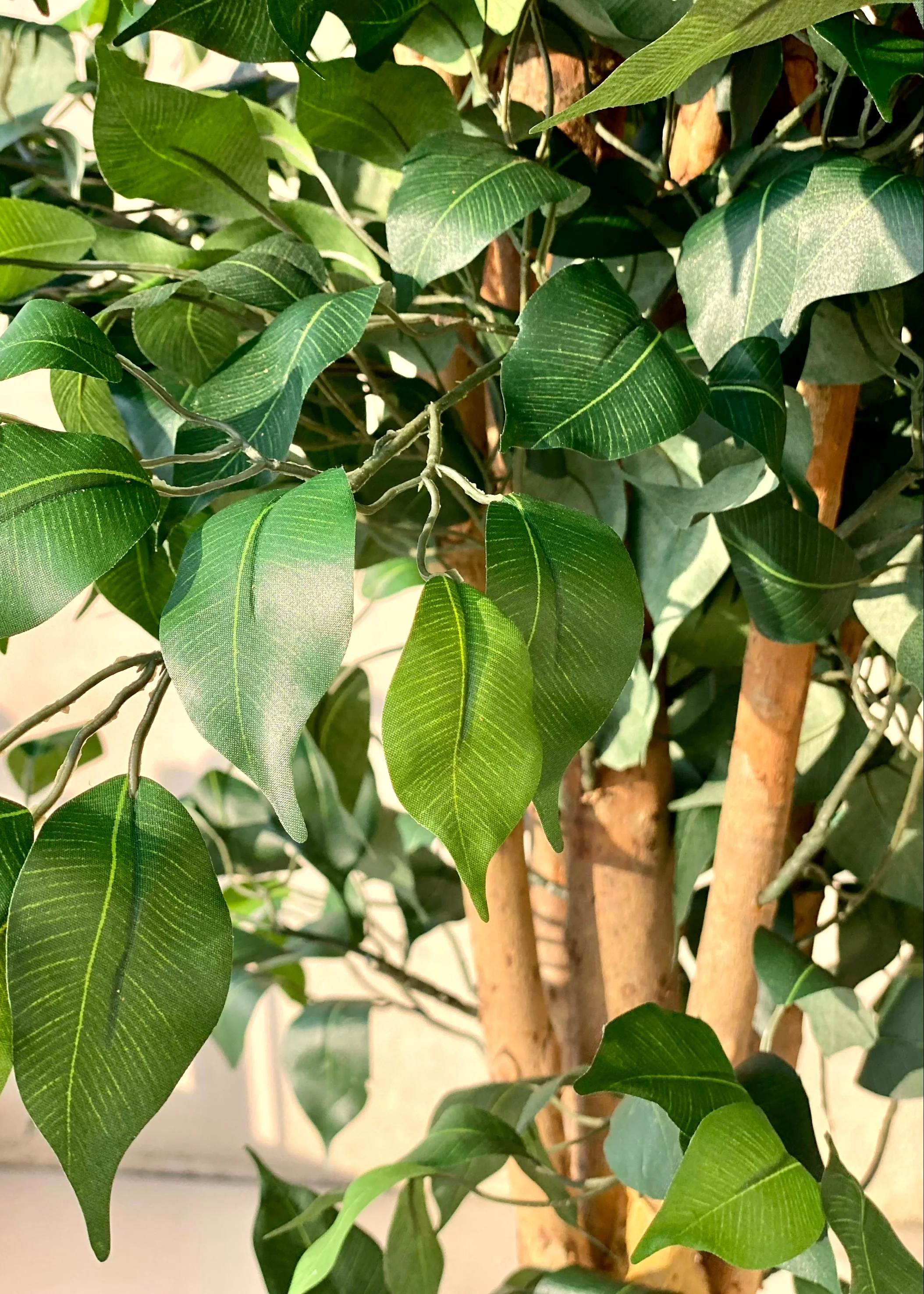 Artificial Grand Ficus Plant - 8.5 Feet - Image 9