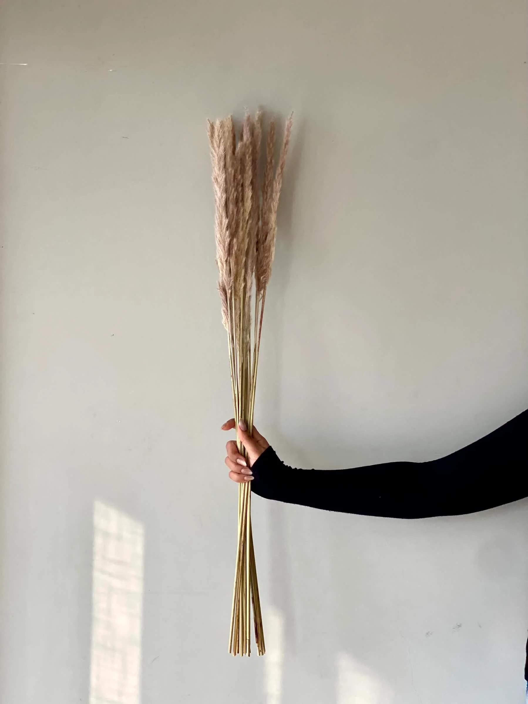 Artificial Pampas Stem - Set of 12 - Image 3