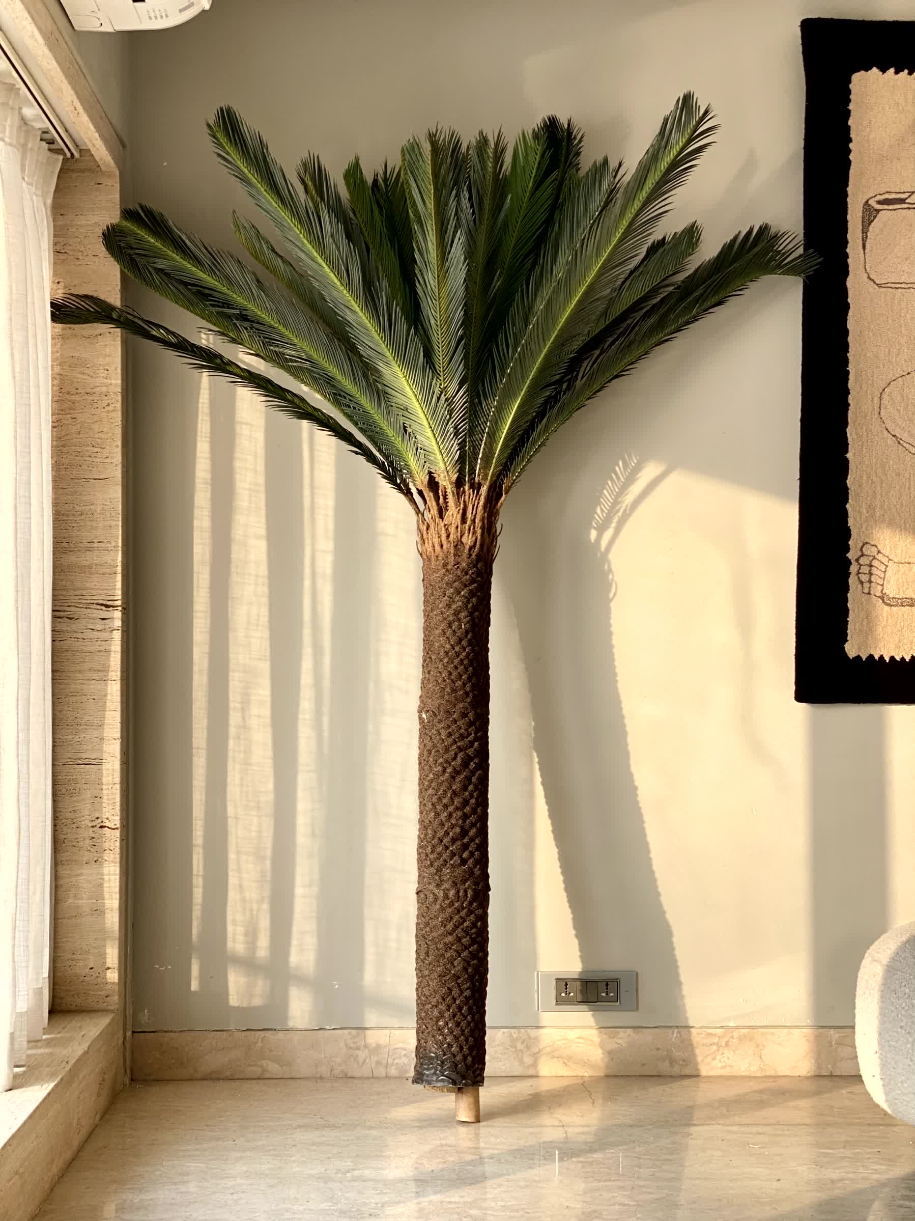 Artificial Sago Cycas Plant - 7 Feet - Image 5