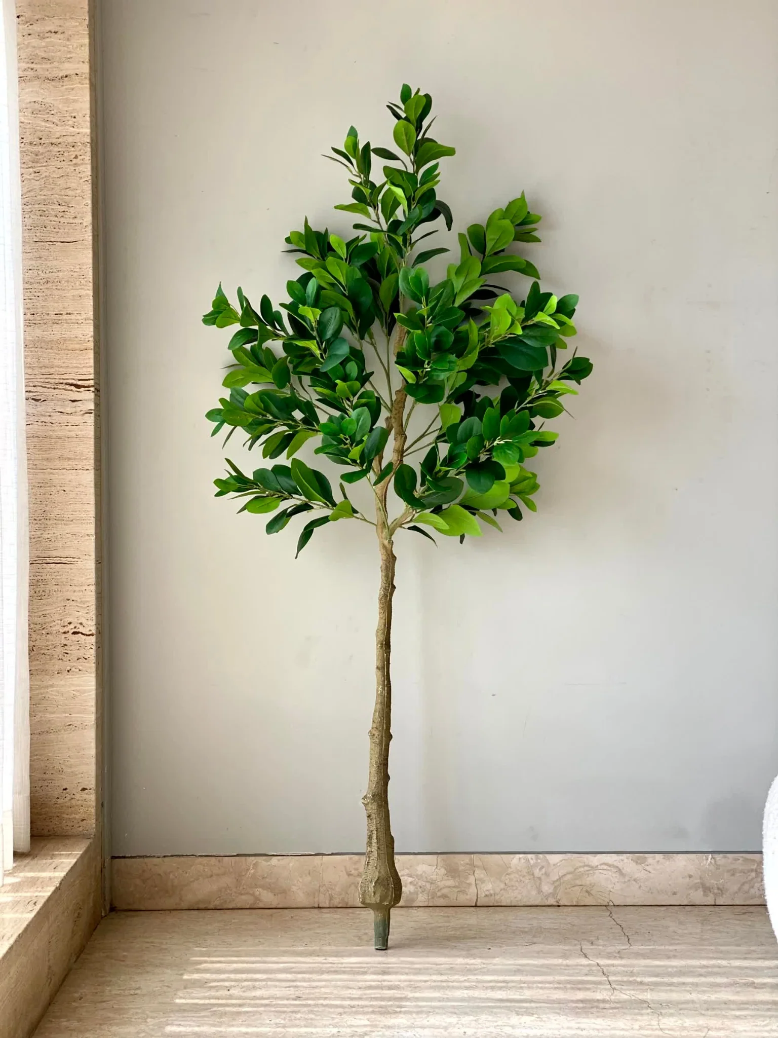 Artificial Serene Peperomia Plant  - 5 Feet - Image 5