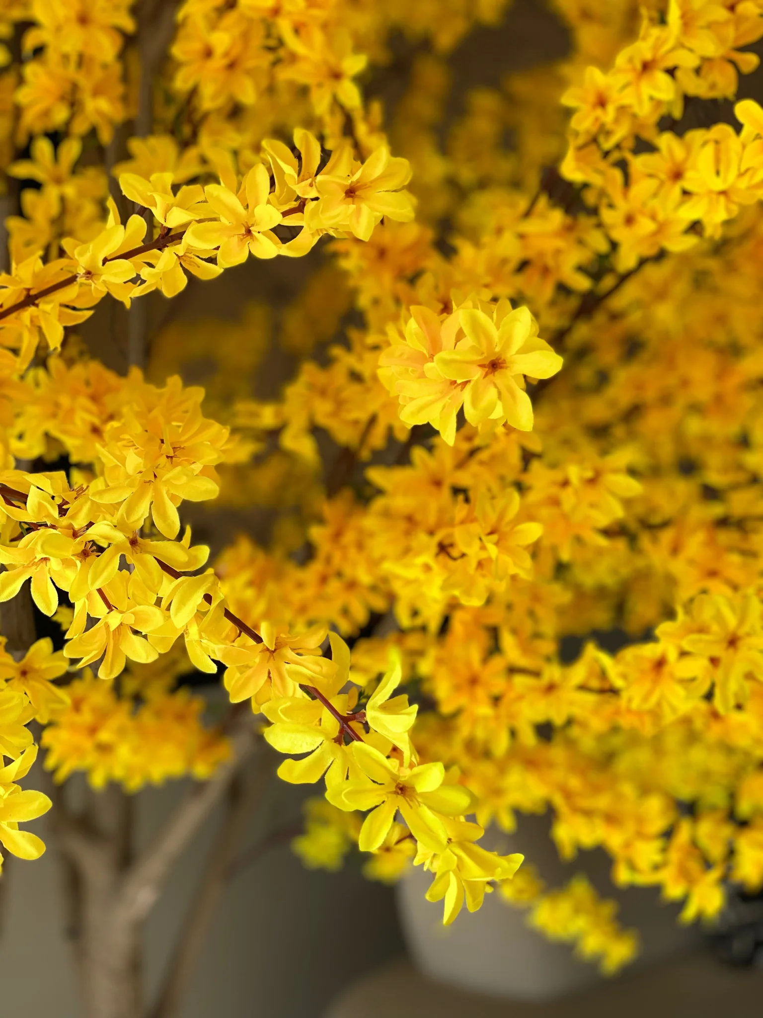 Artificial Spring Jasmine Plant- 8 Feet - Image 6