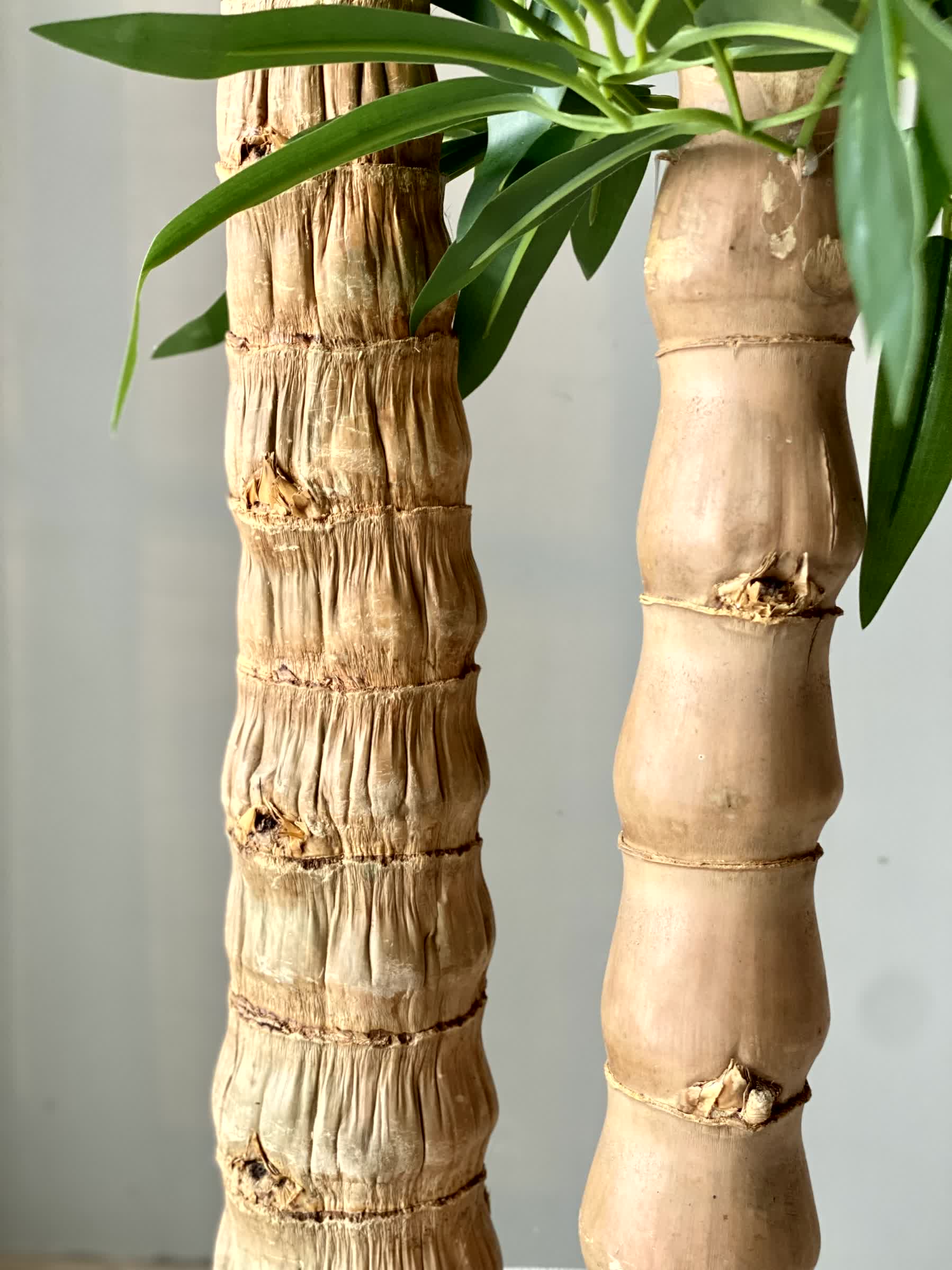 Artificial Timber Bamboo Plant - 7 Feet - Image 5