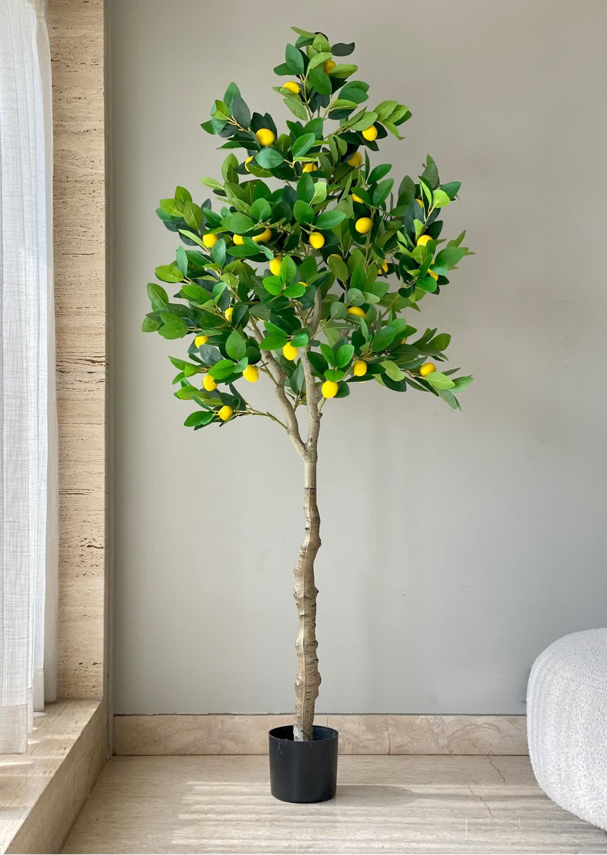 Artificial Tropical Lemon Plant - 6.5 Feet - Image 5