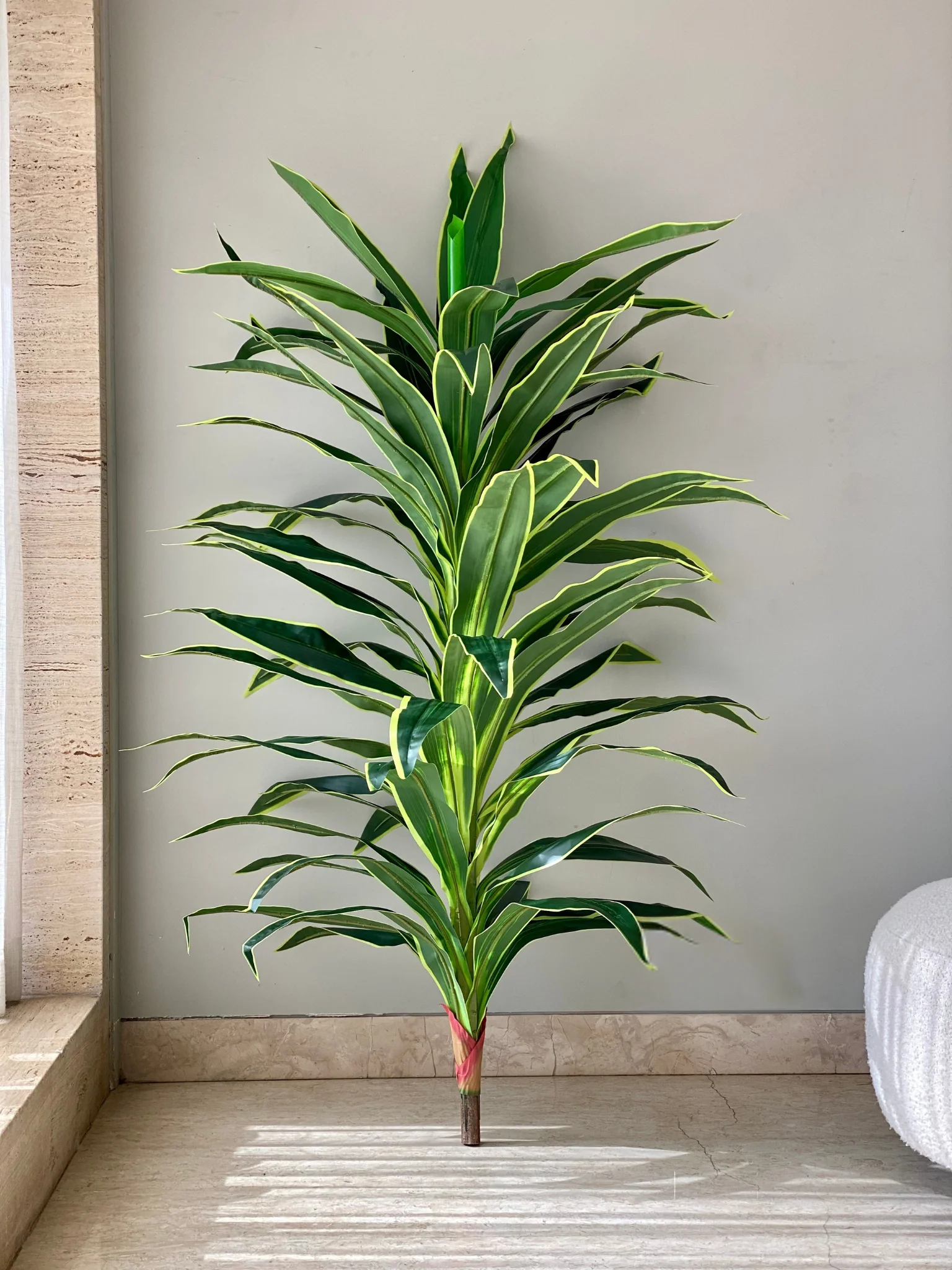 Artificial Variegated Dracaena Plant - 5.5 Feet - Image 4
