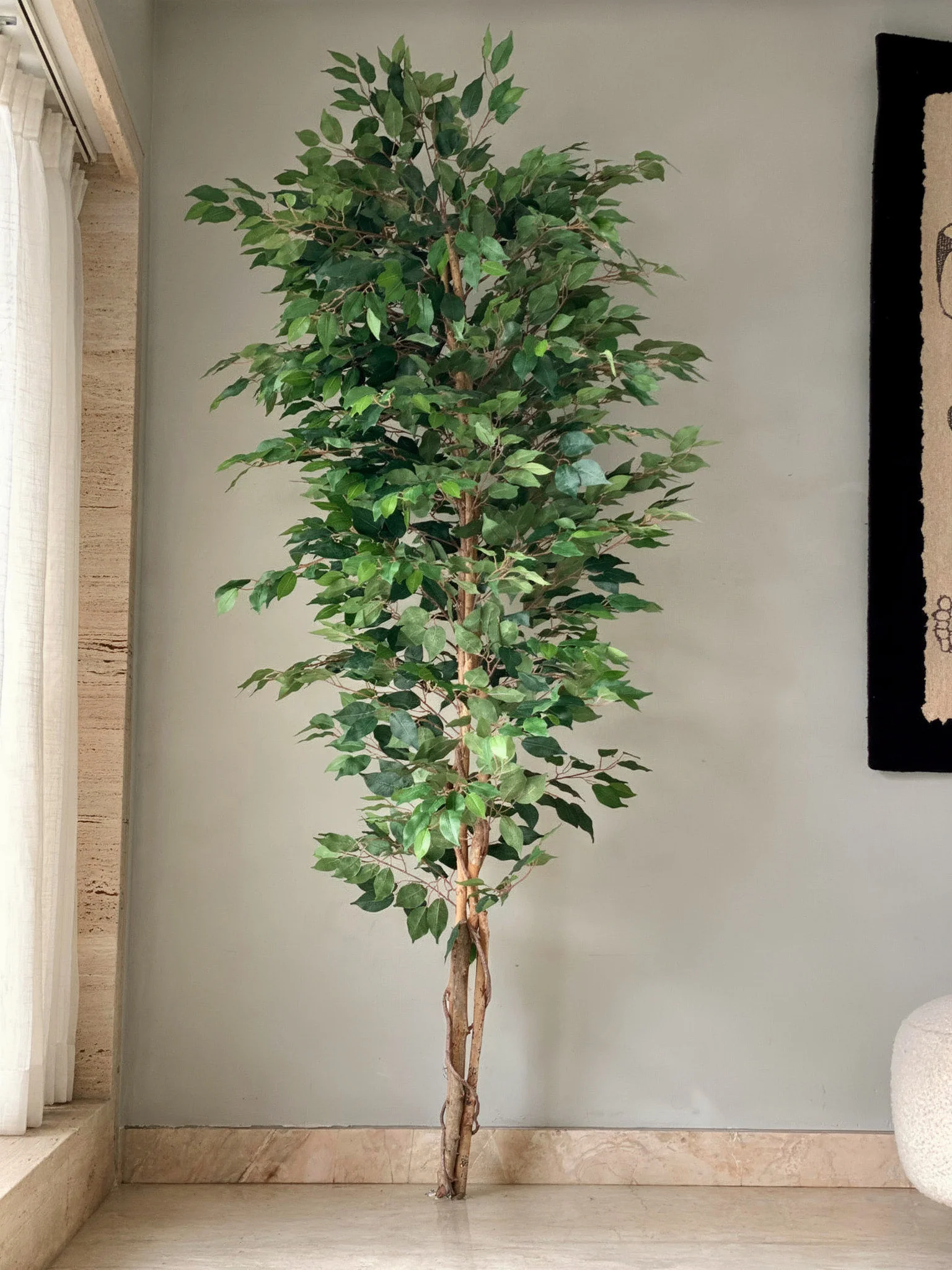 Artificial Weeping Ficus Plant - 7 Feet - Image 3