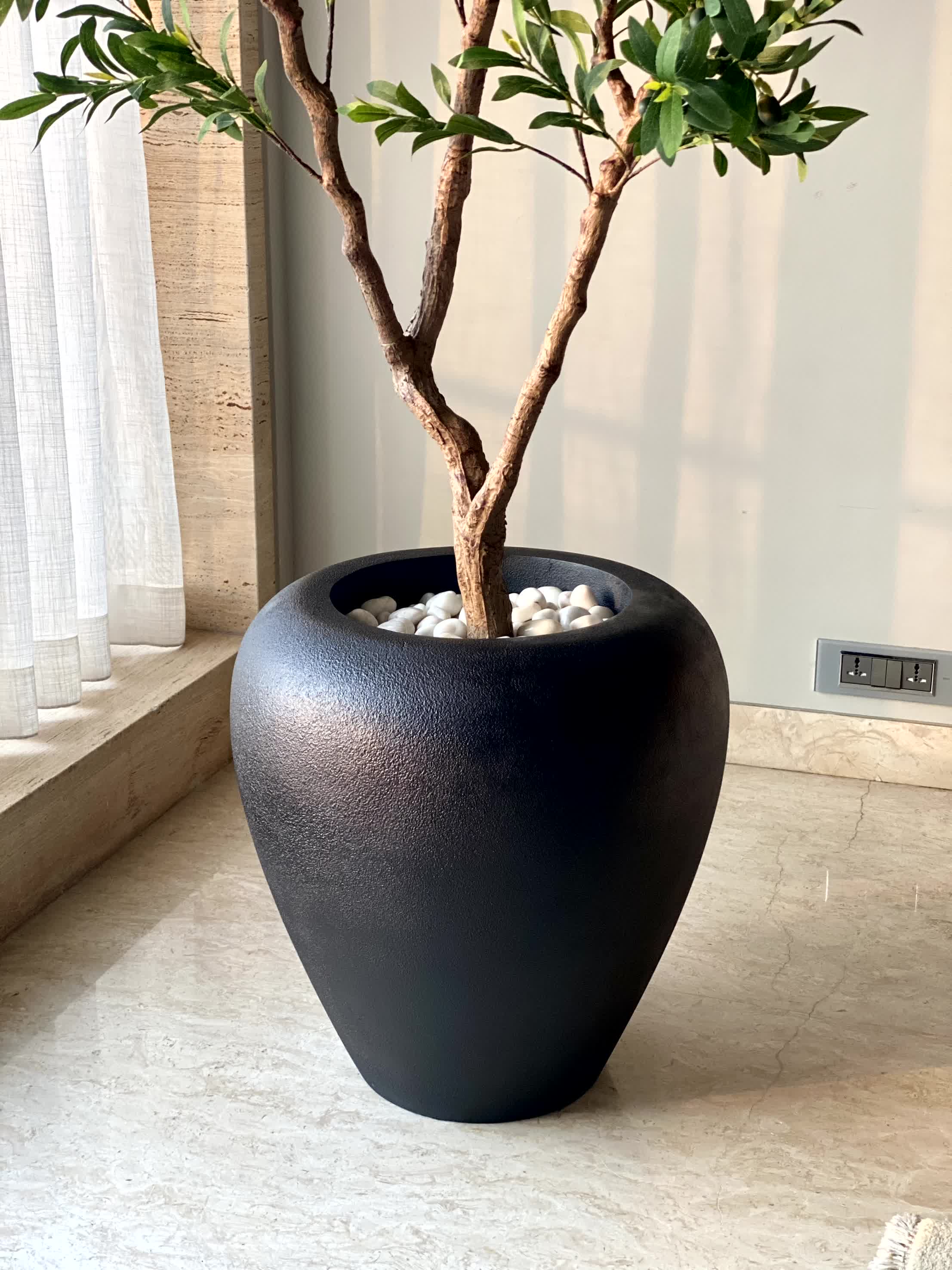 Duch Black Planter - Image 13