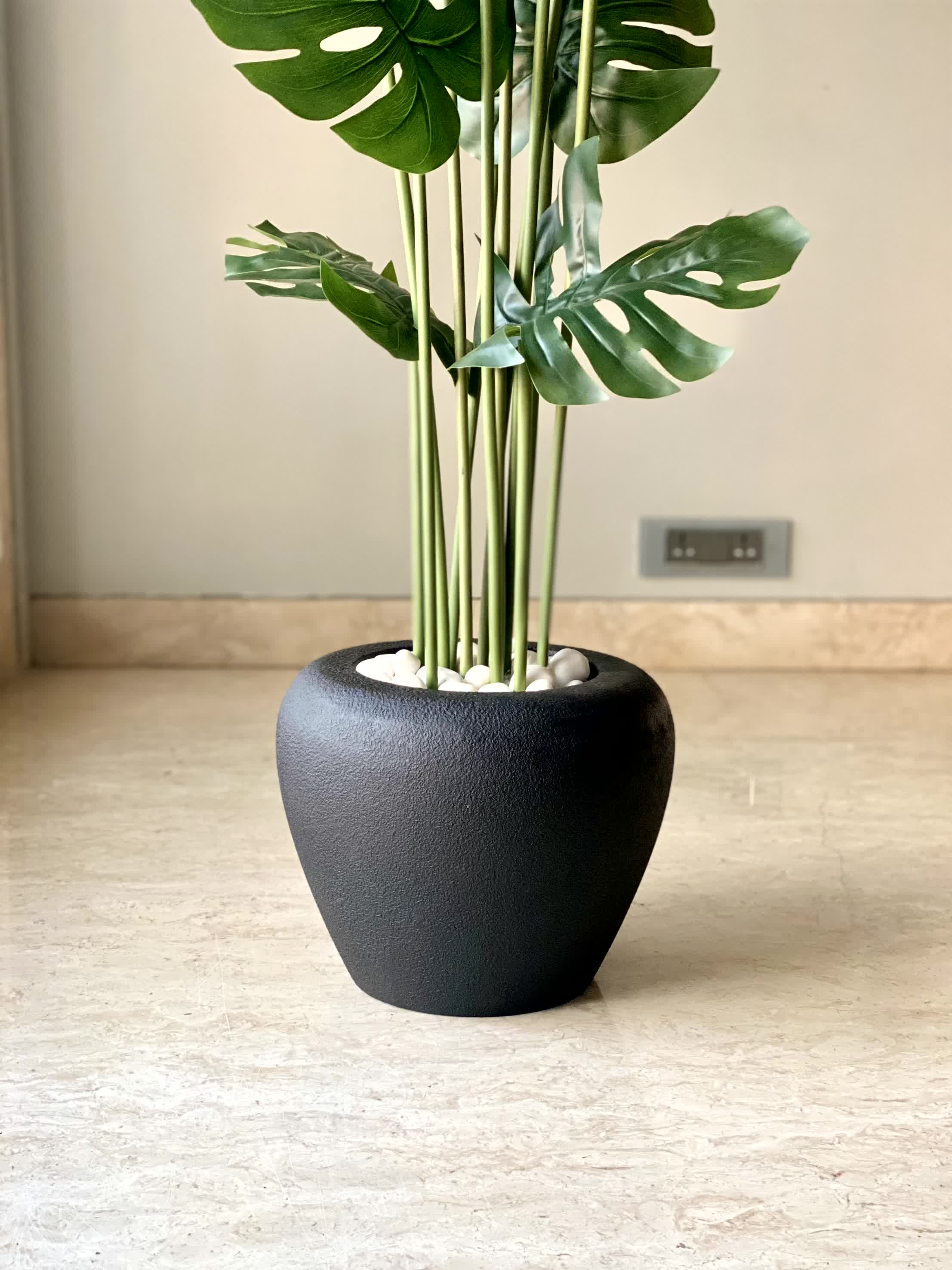 Duch Black Planter - Image 3
