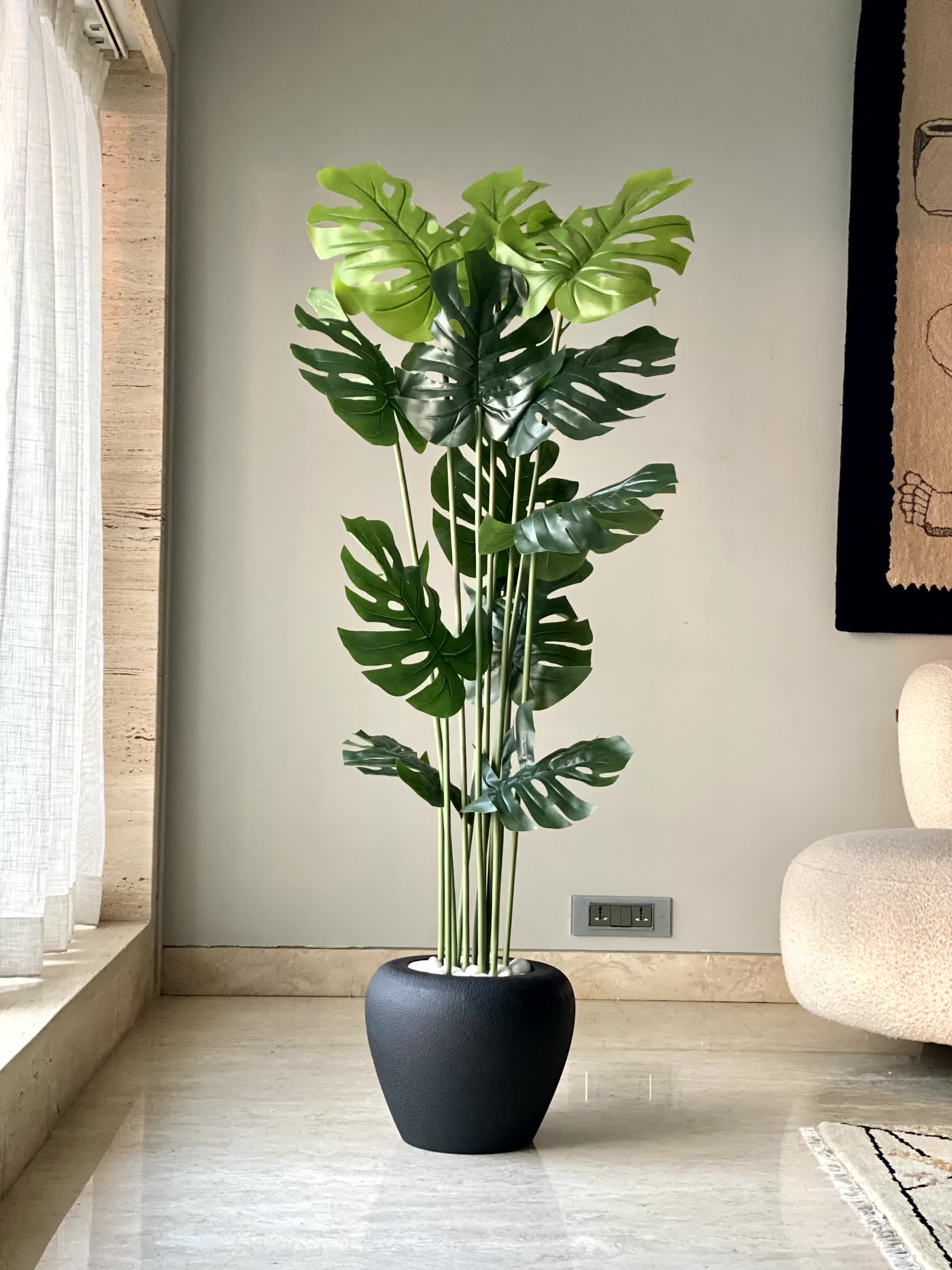 Duch Black Planter - Image 4