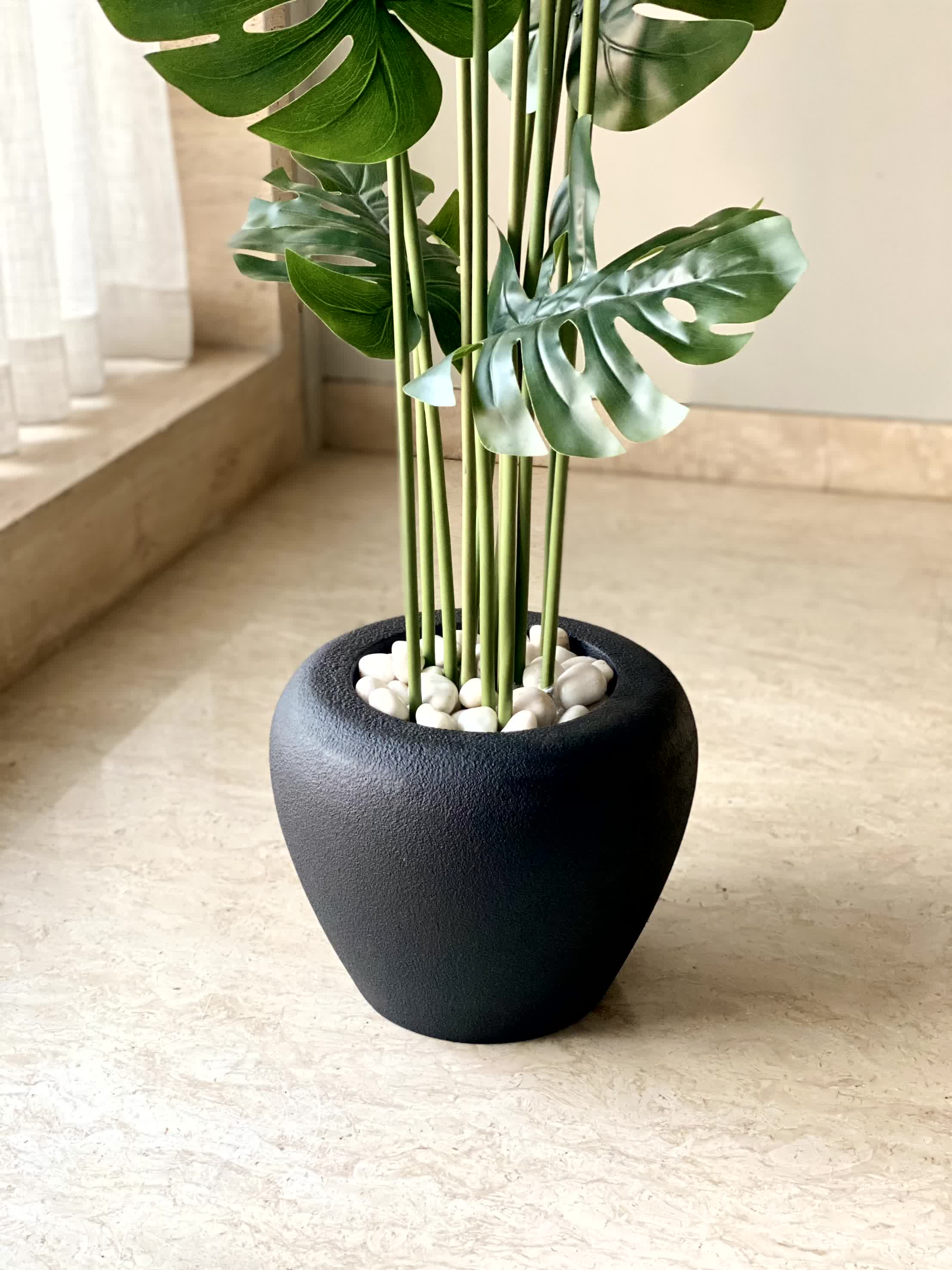 Duch Black Planter - Image 5