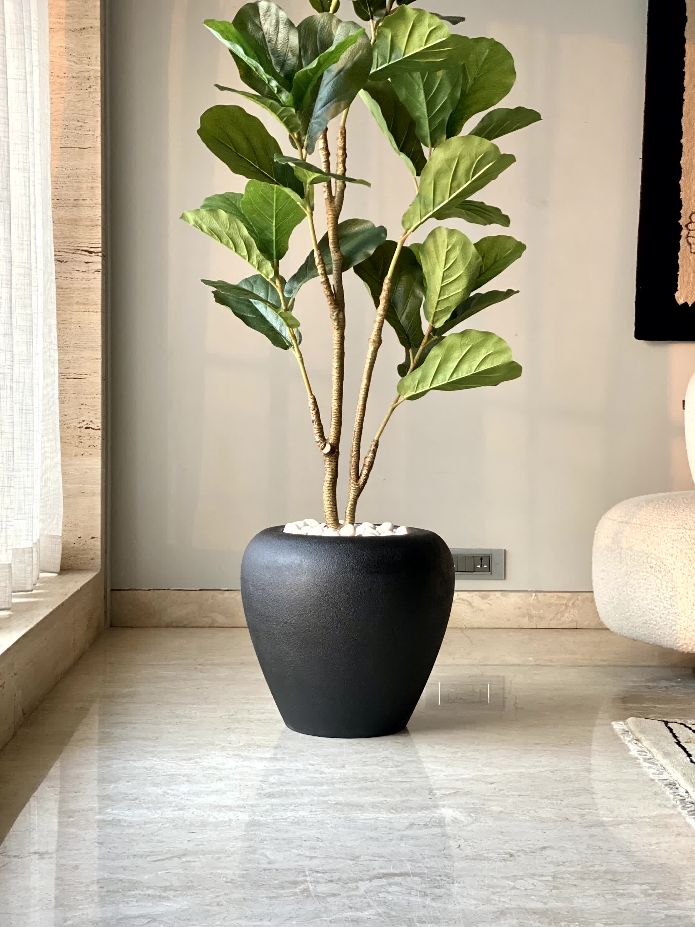 Duch Black Planter - Image 7