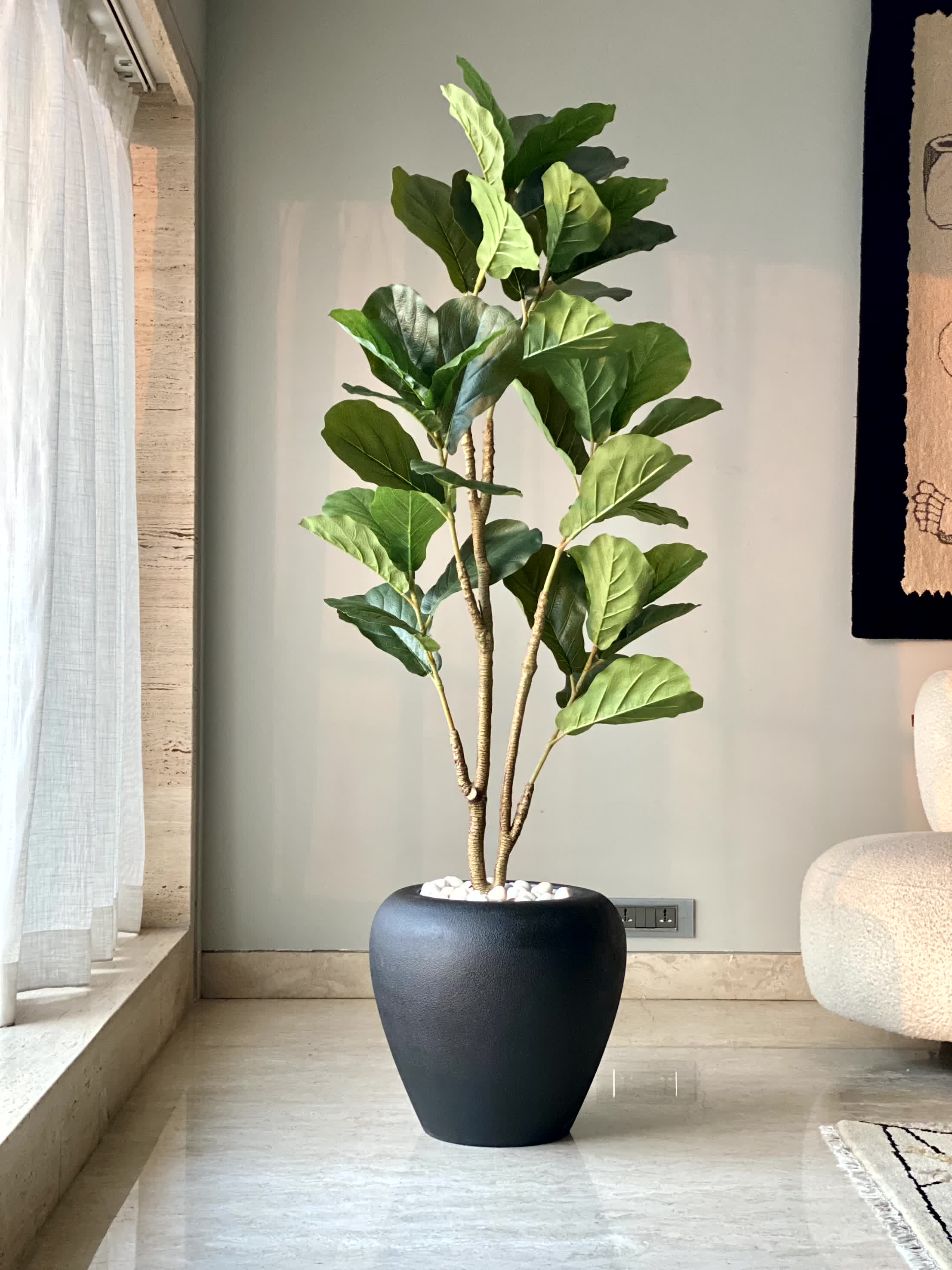 Duch Black Planter - Image 8