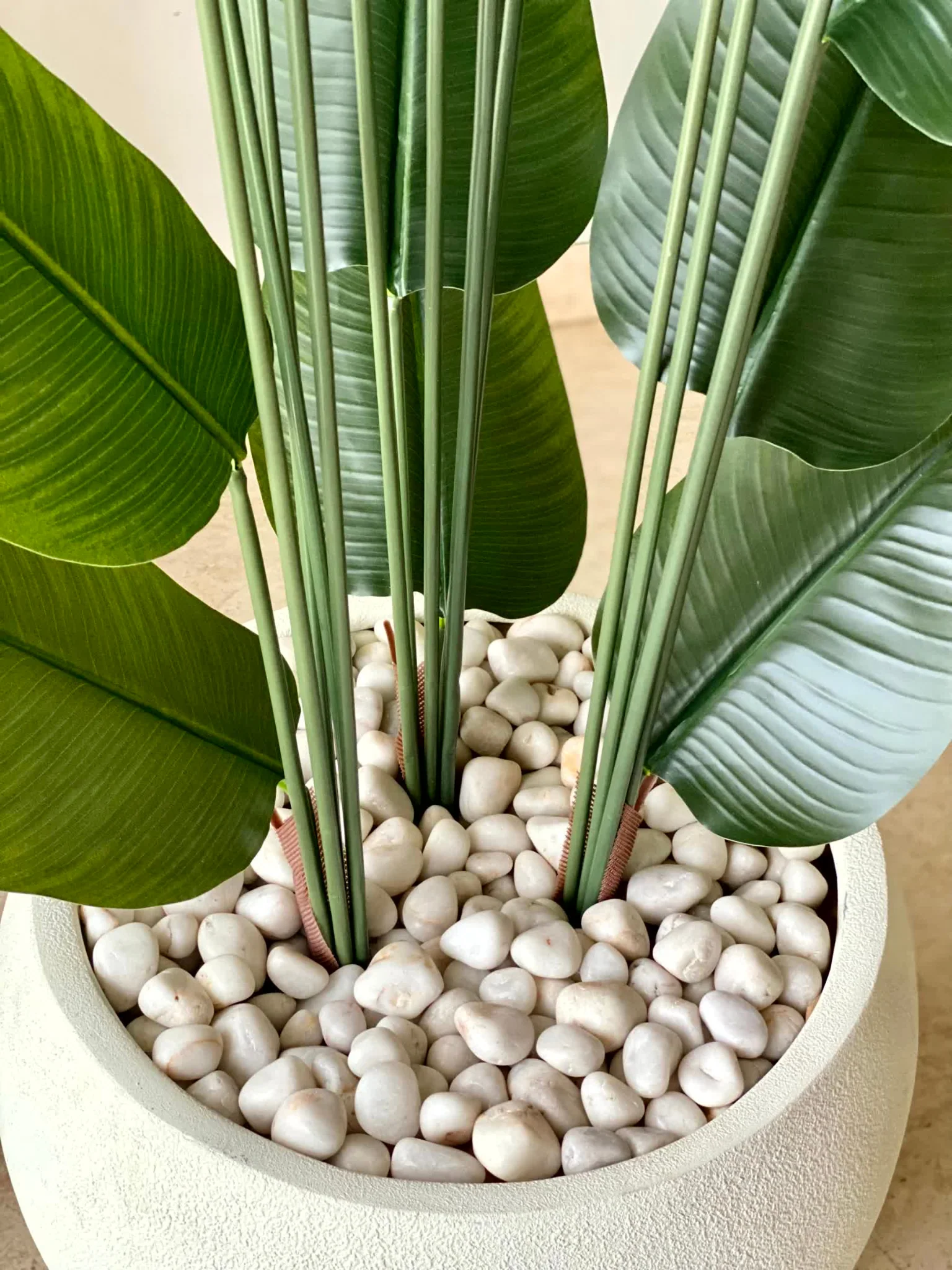 Artificial Lush Travellers Palm - 6 Feet - Image 4