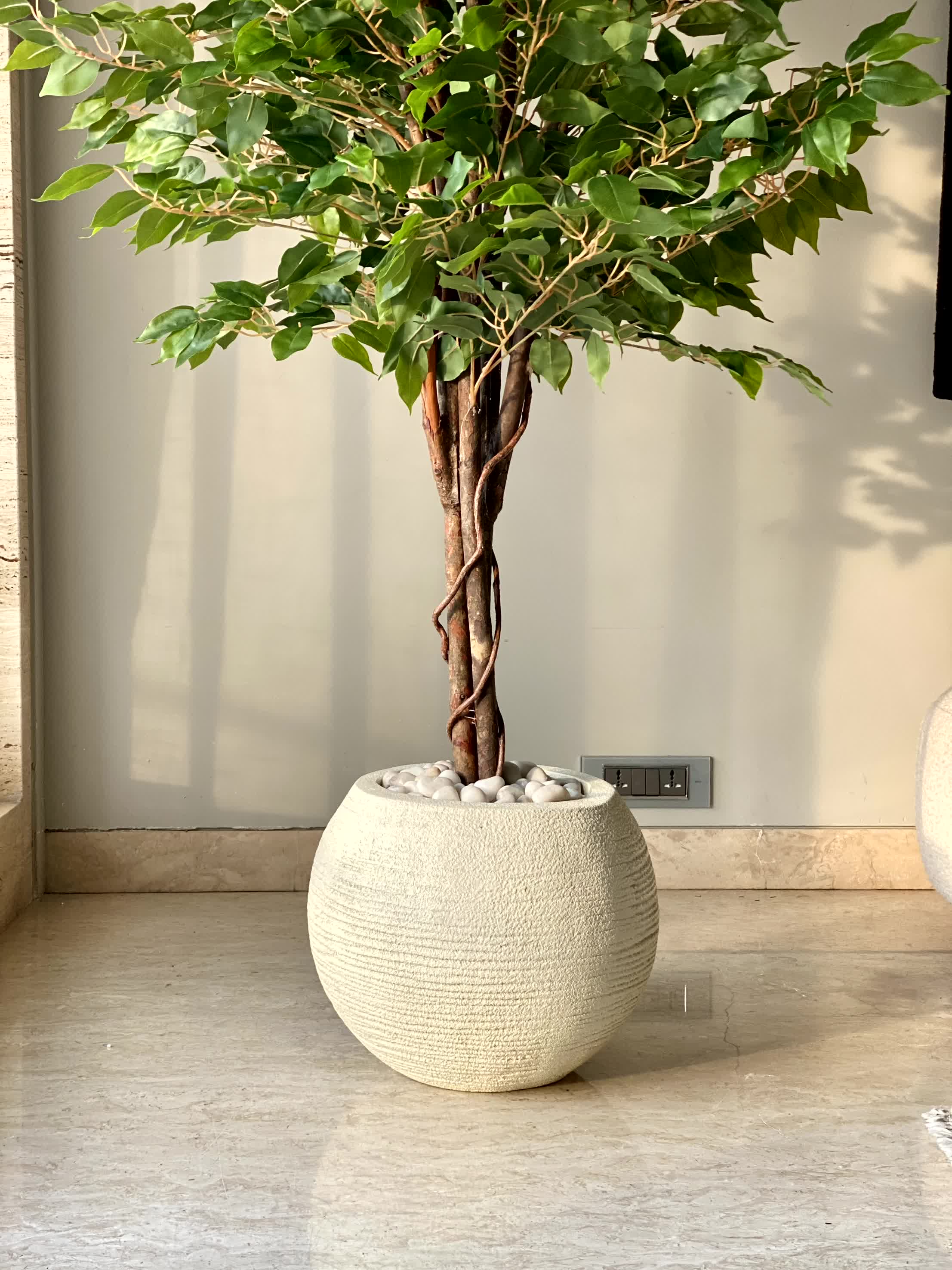 Vienna Ivory Planter - Image 8