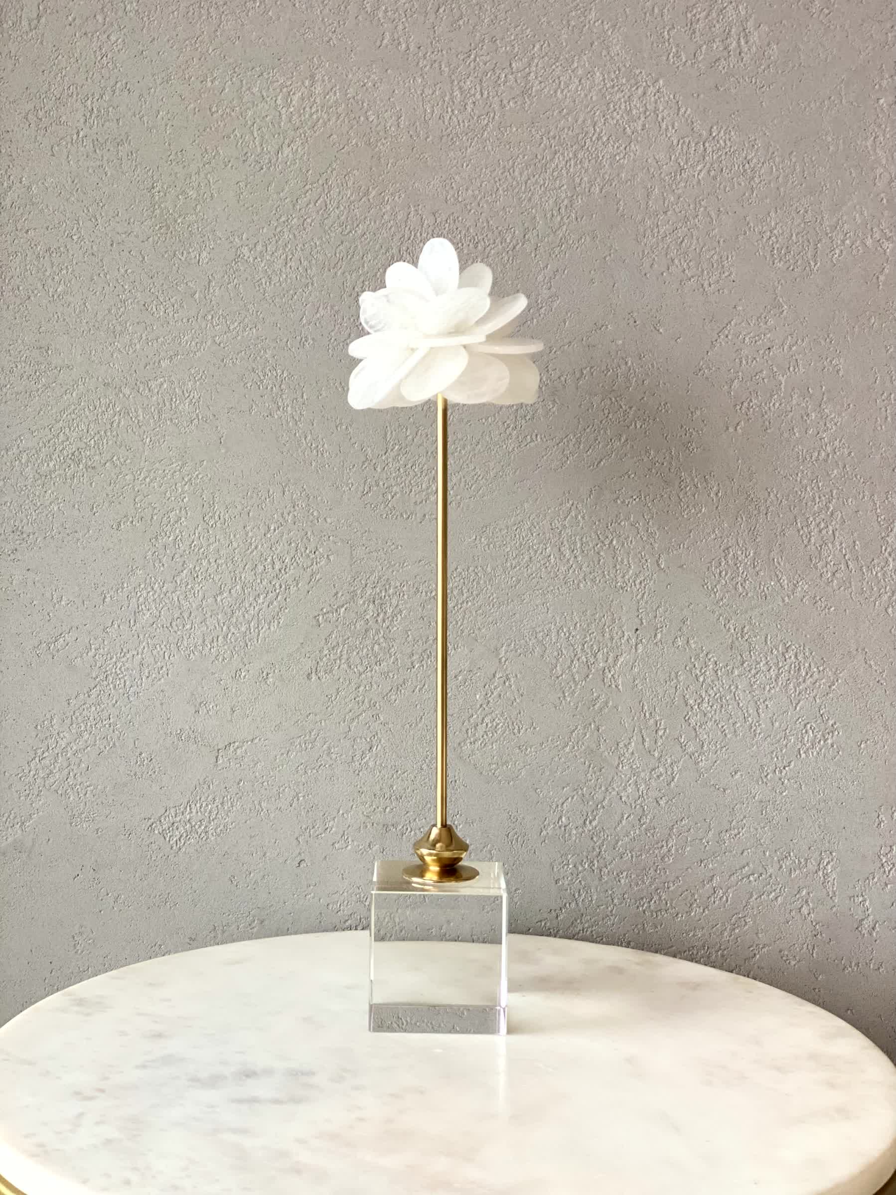 White Rose Artefact #1 - Image 4